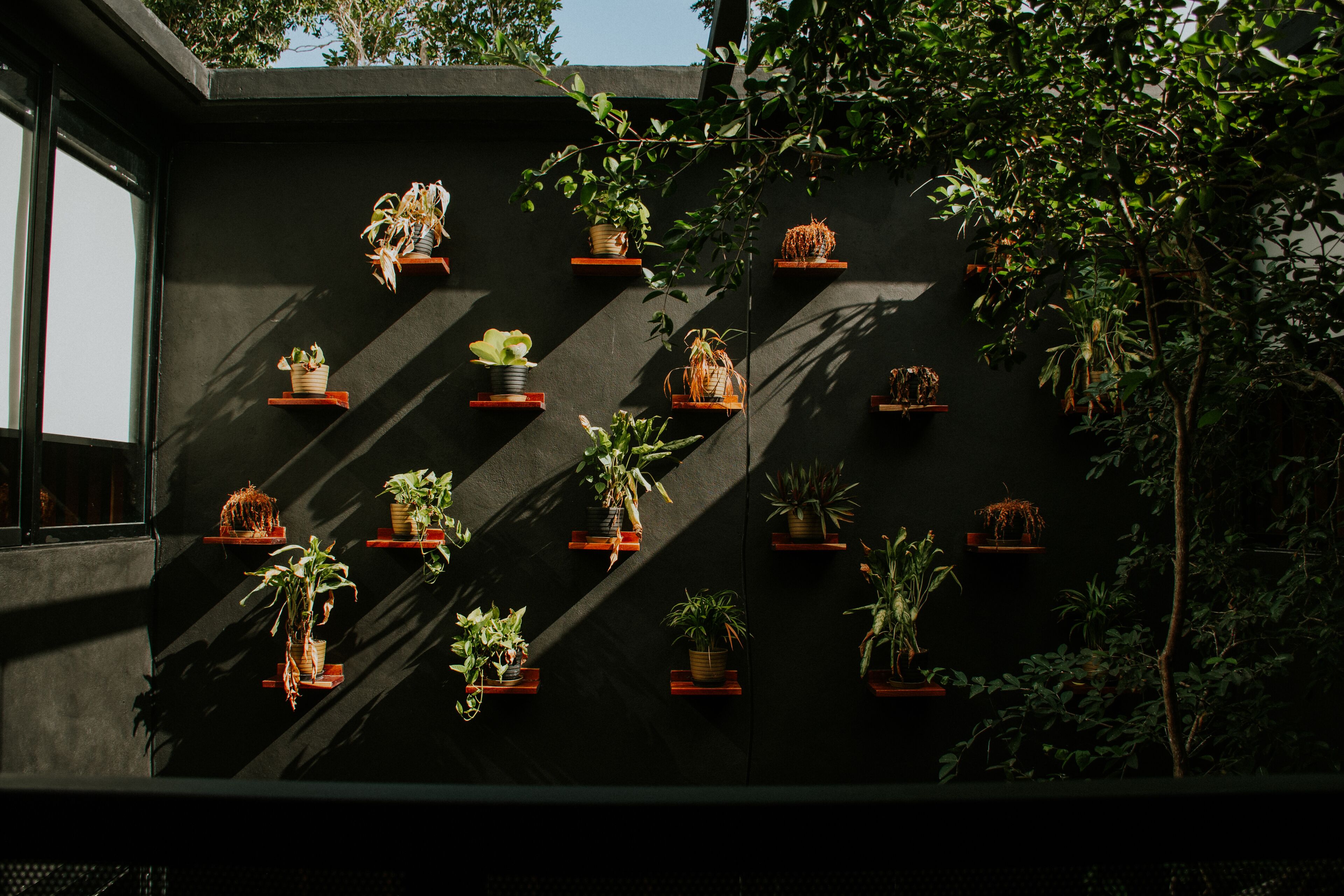 K NAJ Community Cenote residence