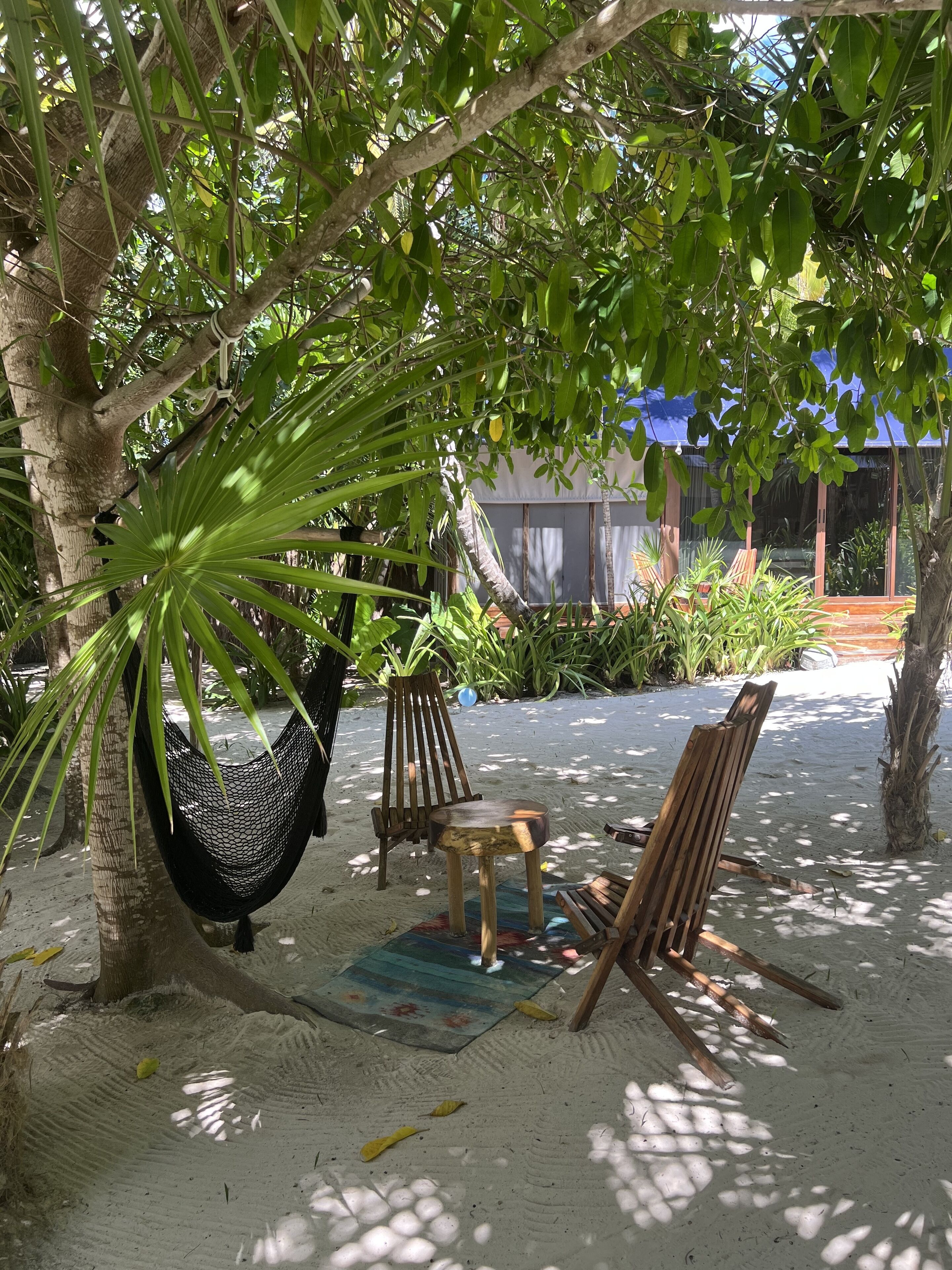 Libelula Tulum