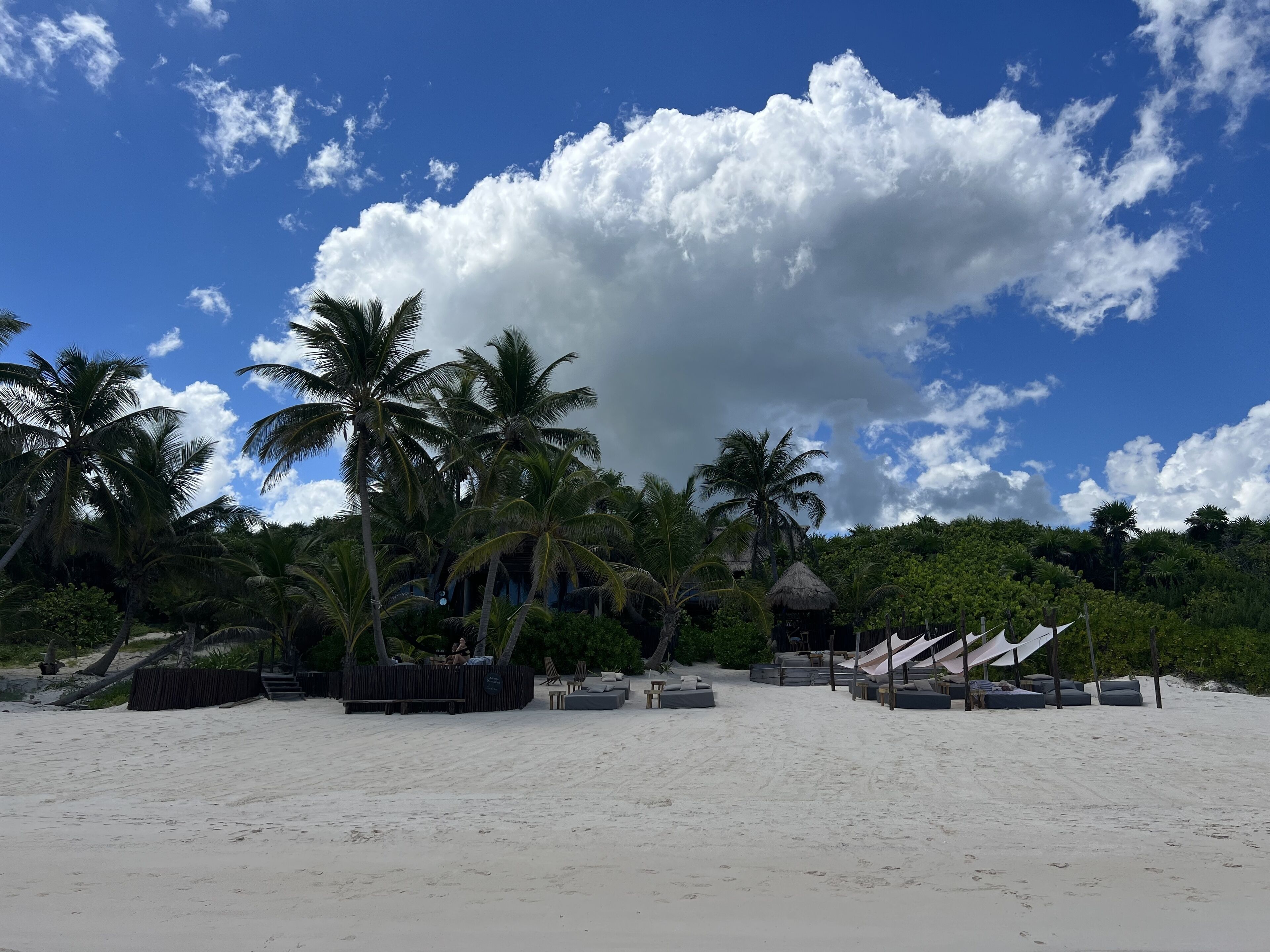 Libelula Tulum