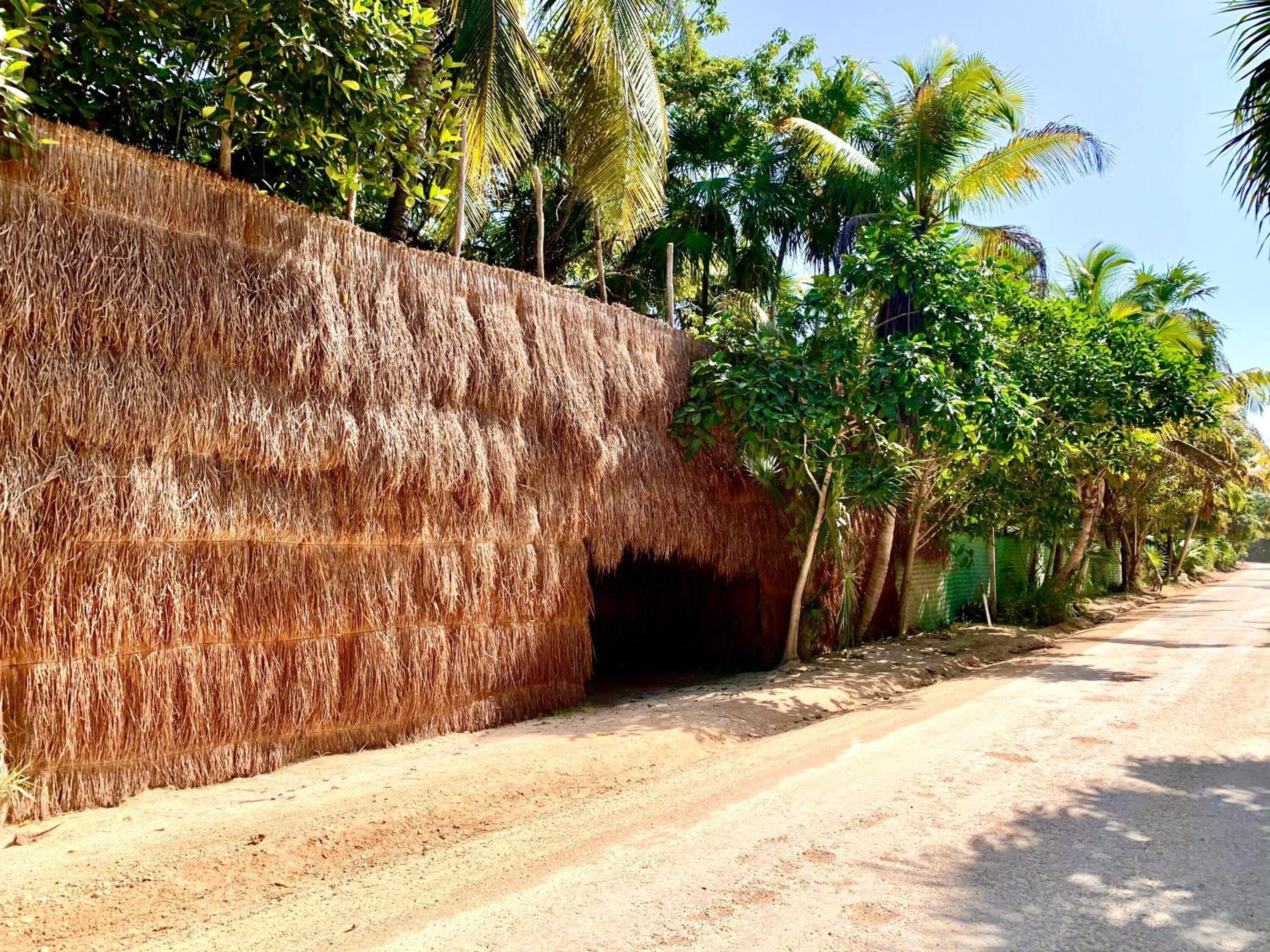 Libelula Tulum