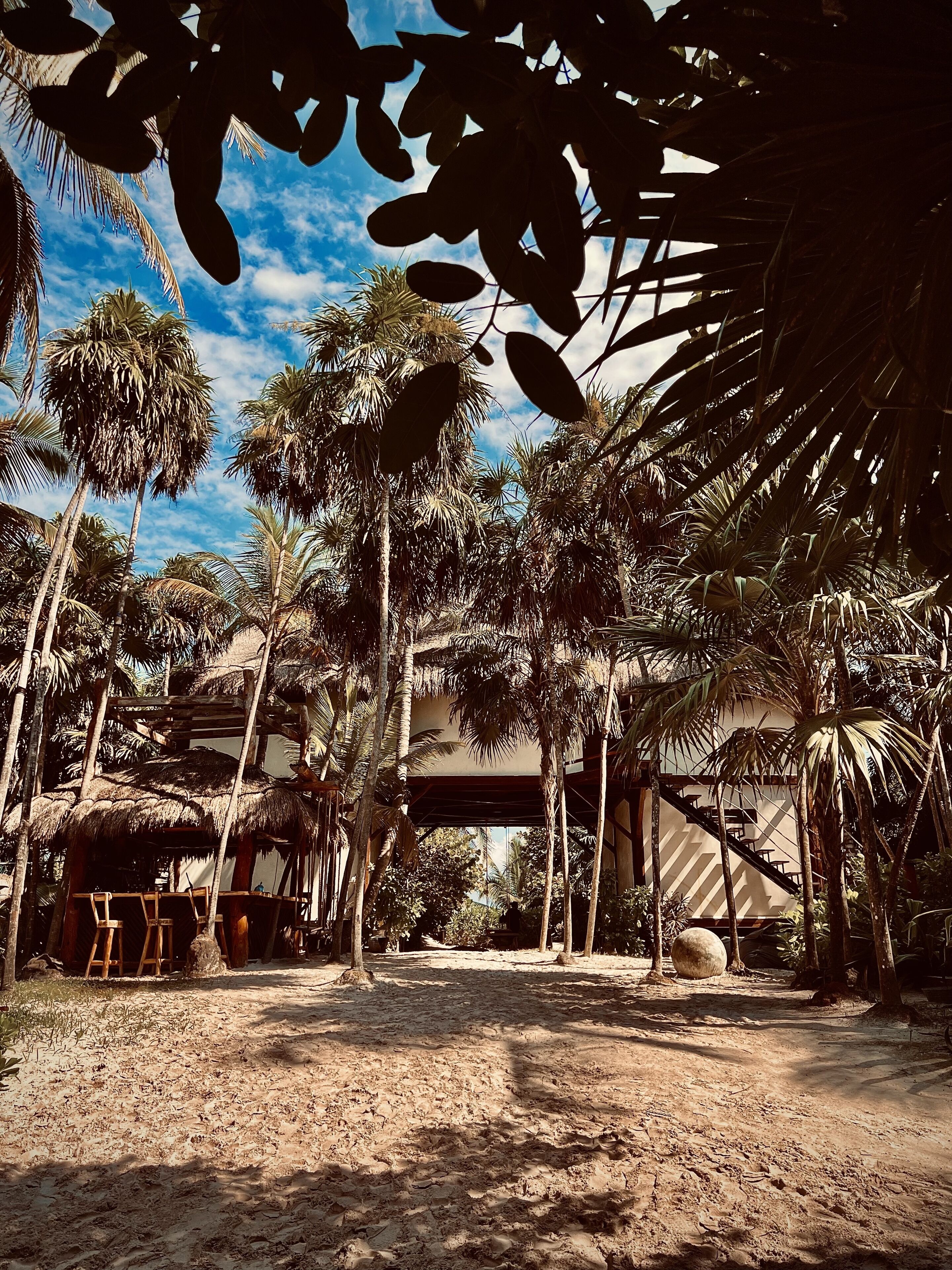 Libelula Tulum