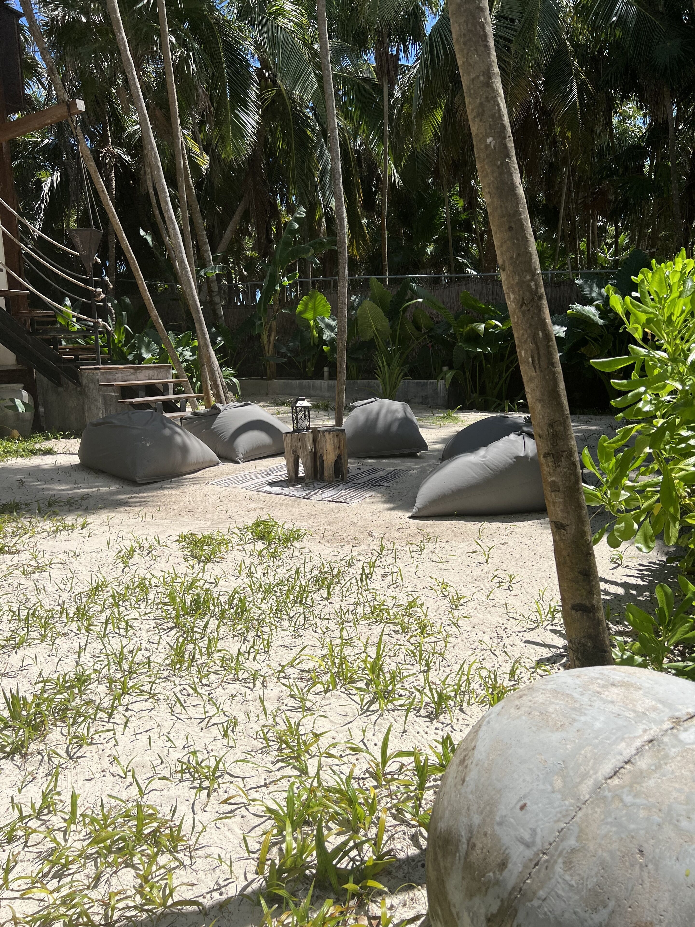 Libelula Tulum