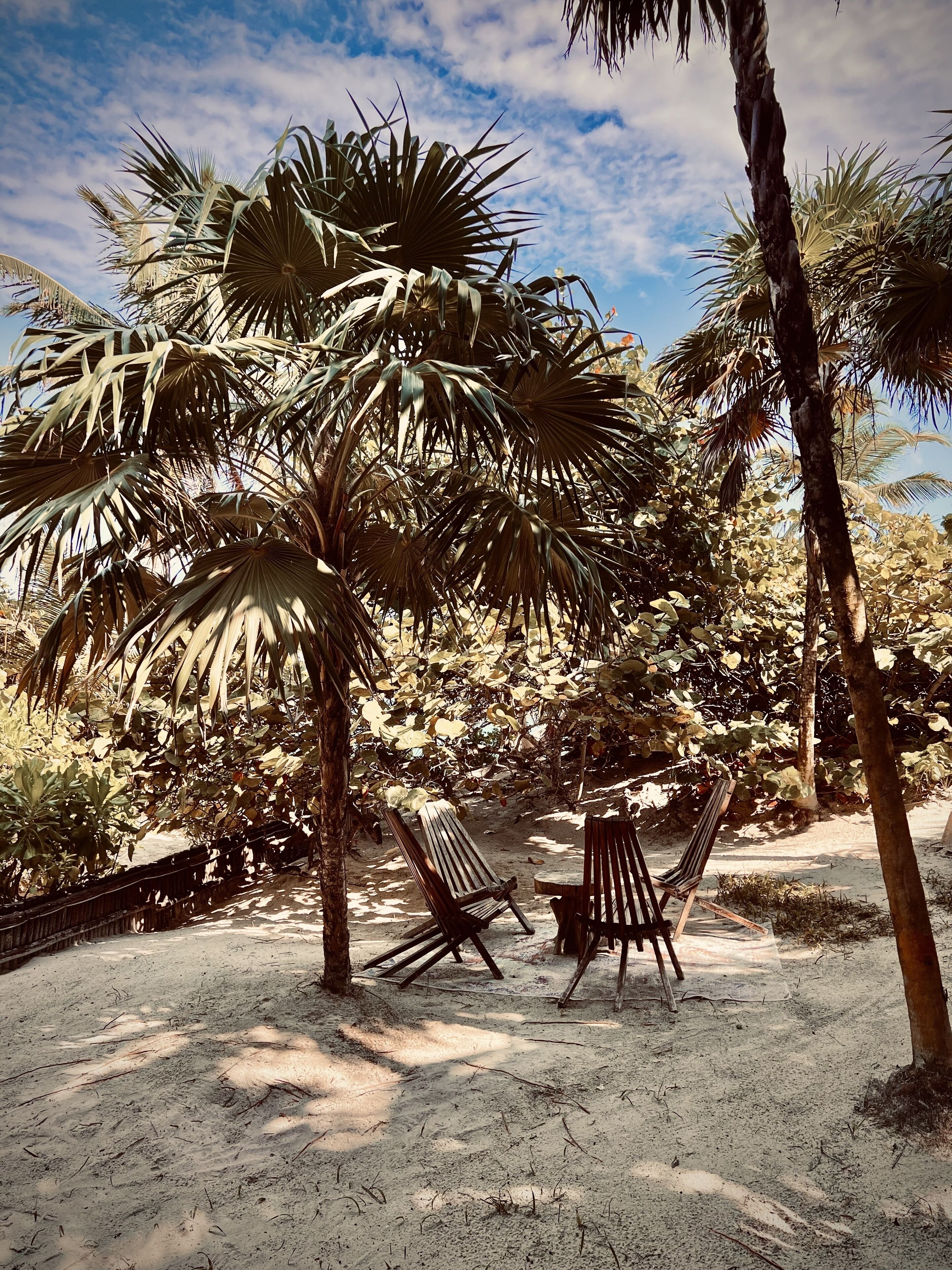 Libelula Tulum