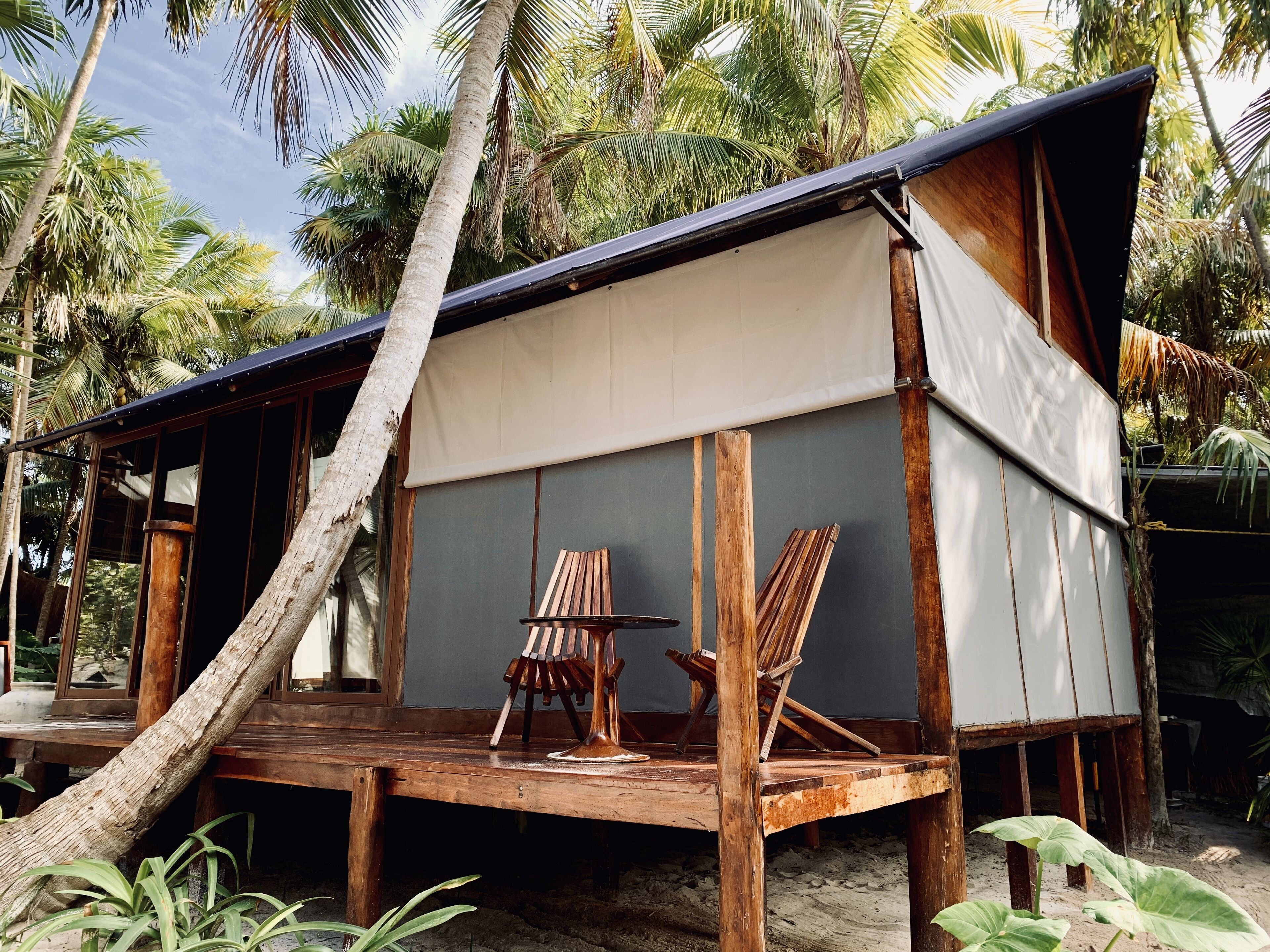 Libelula Tulum