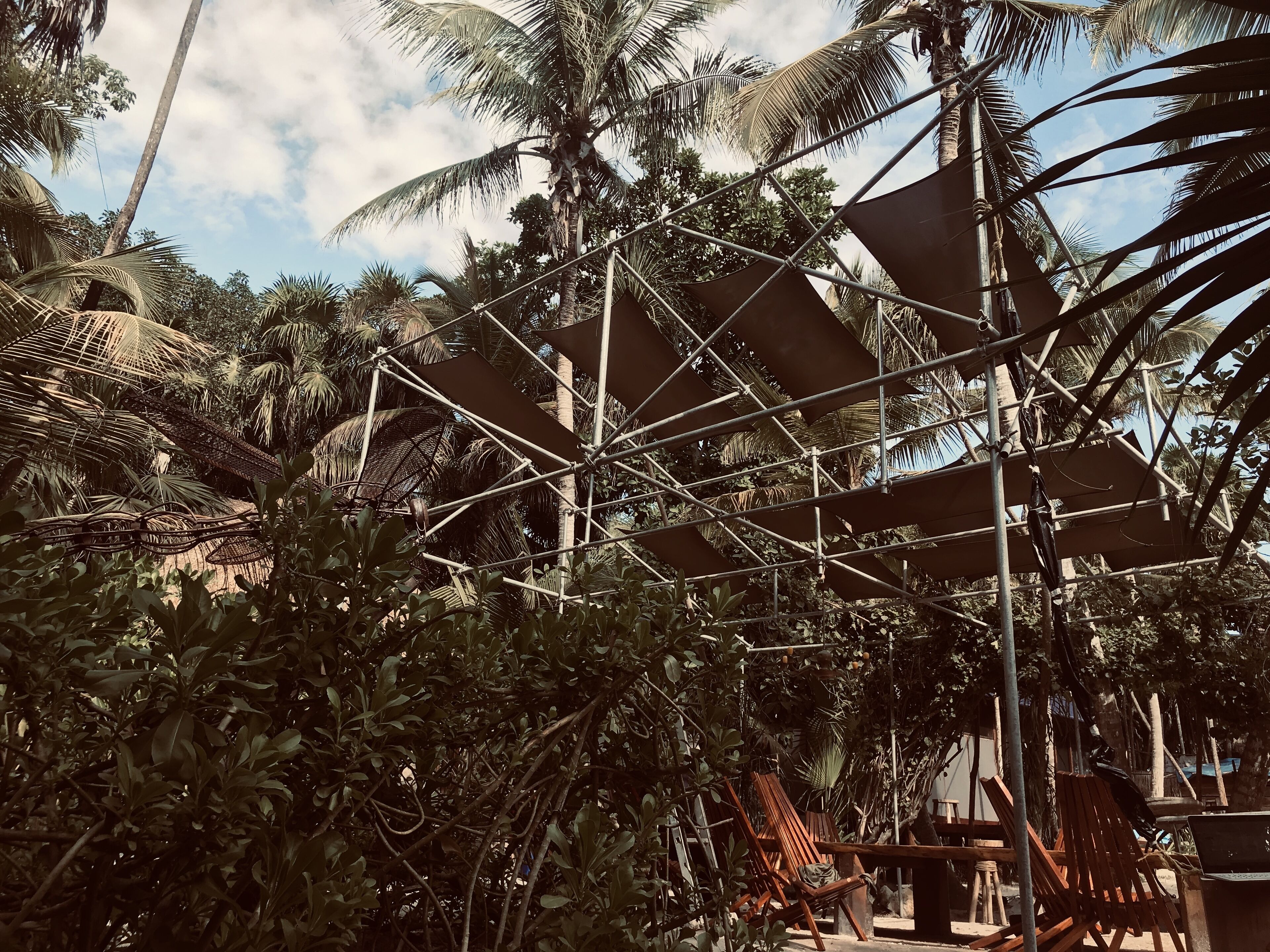 Libelula Tulum