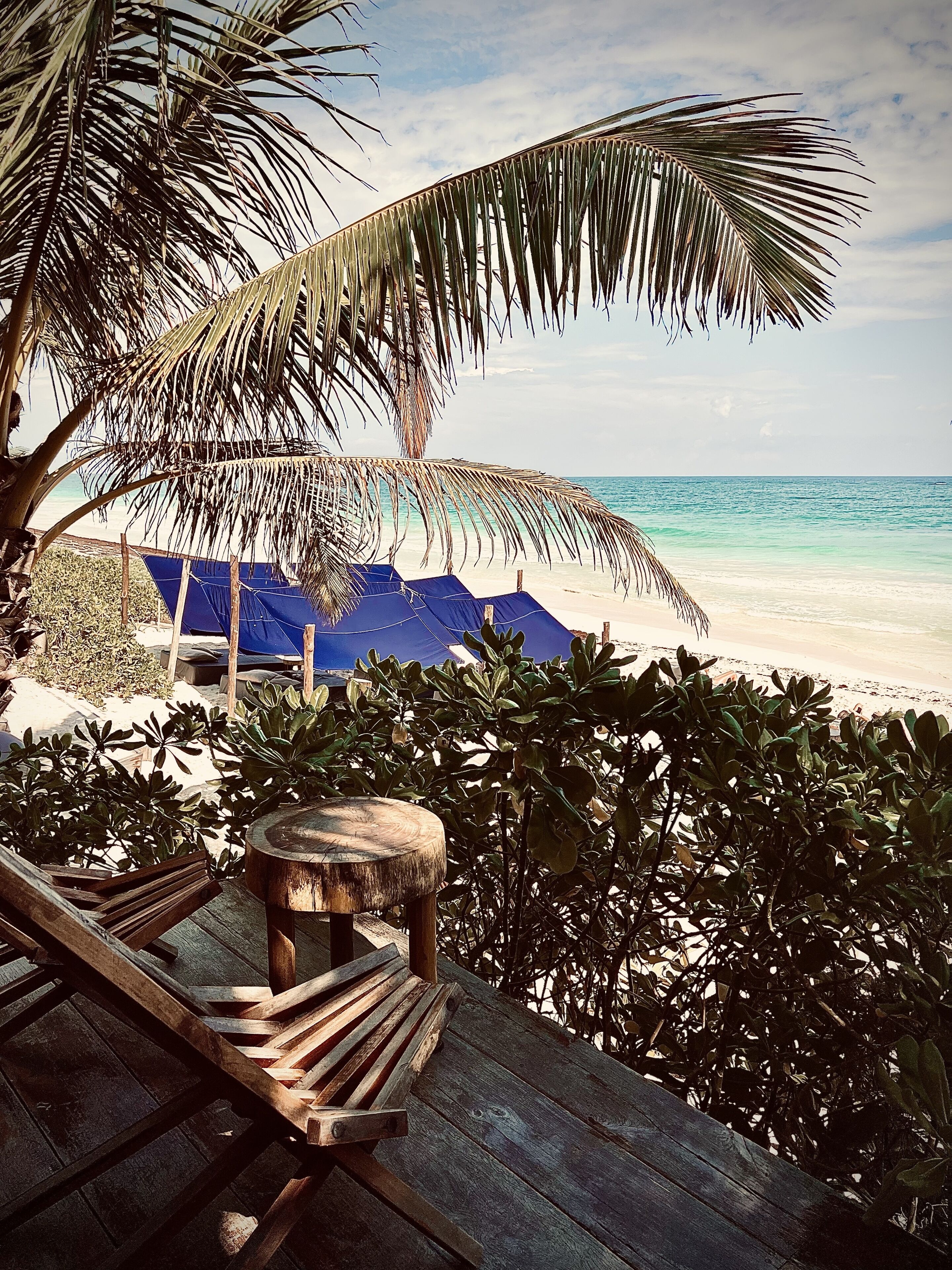 Libelula Tulum