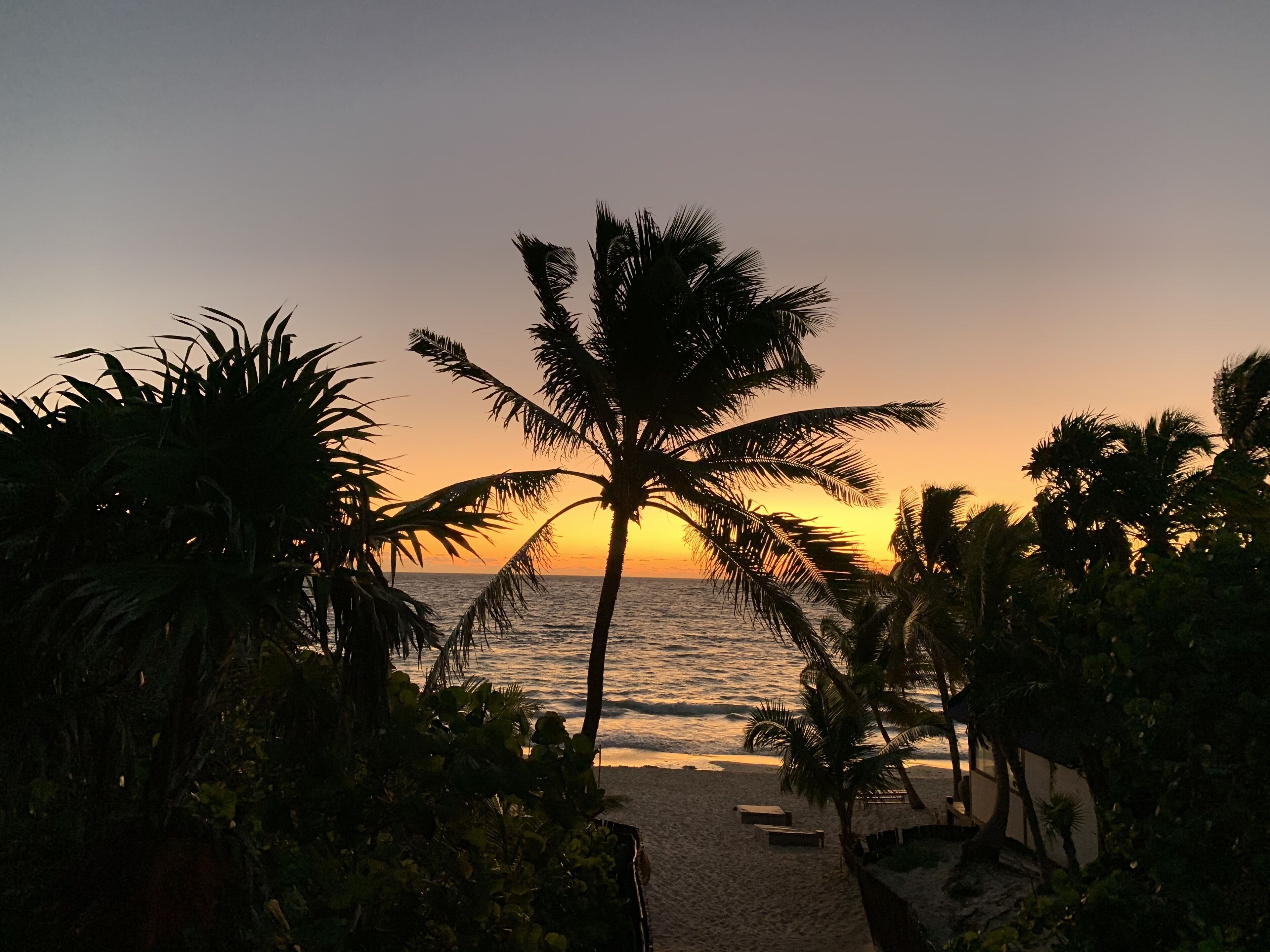 Libelula Tulum