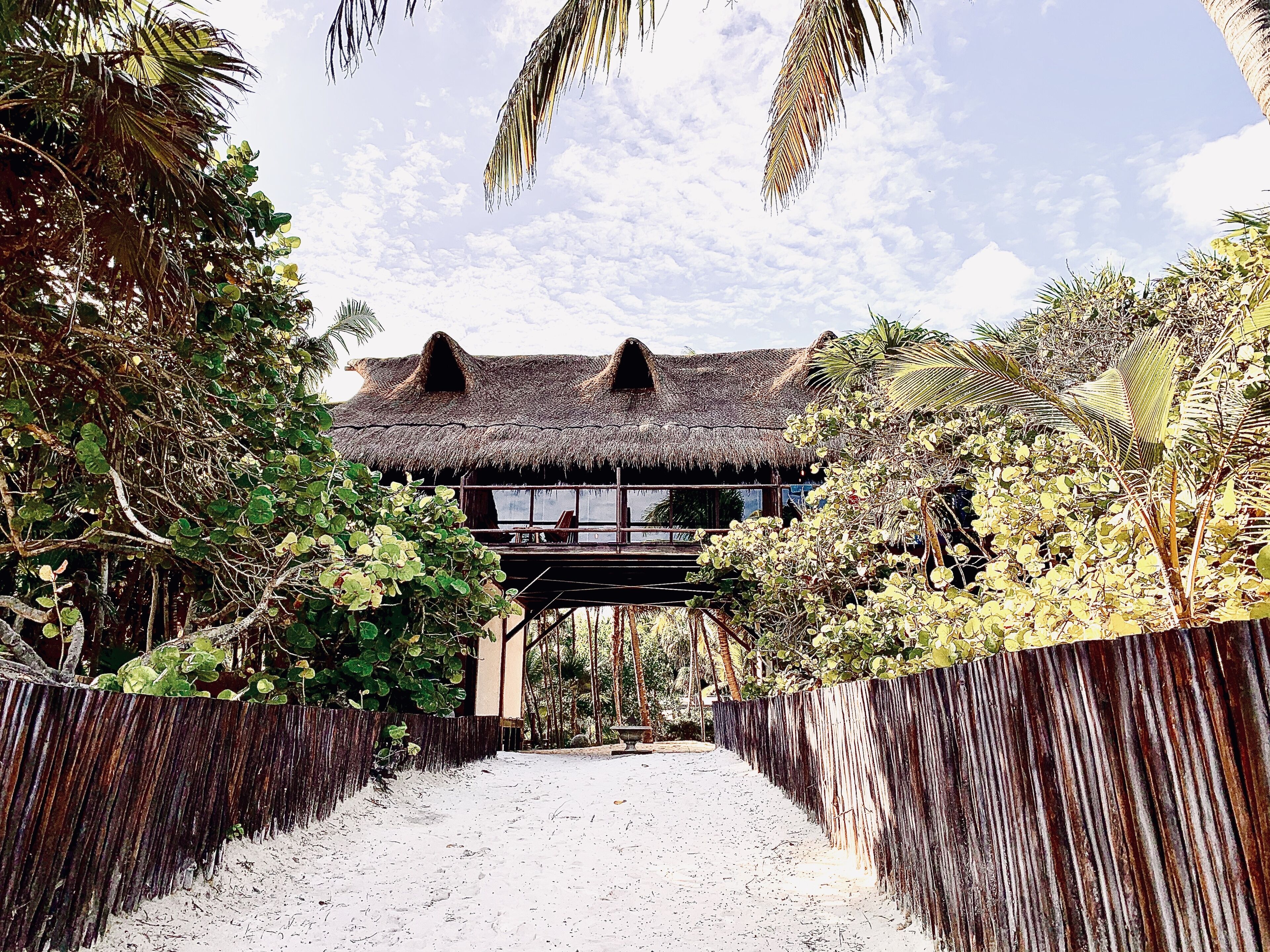 Libelula Tulum