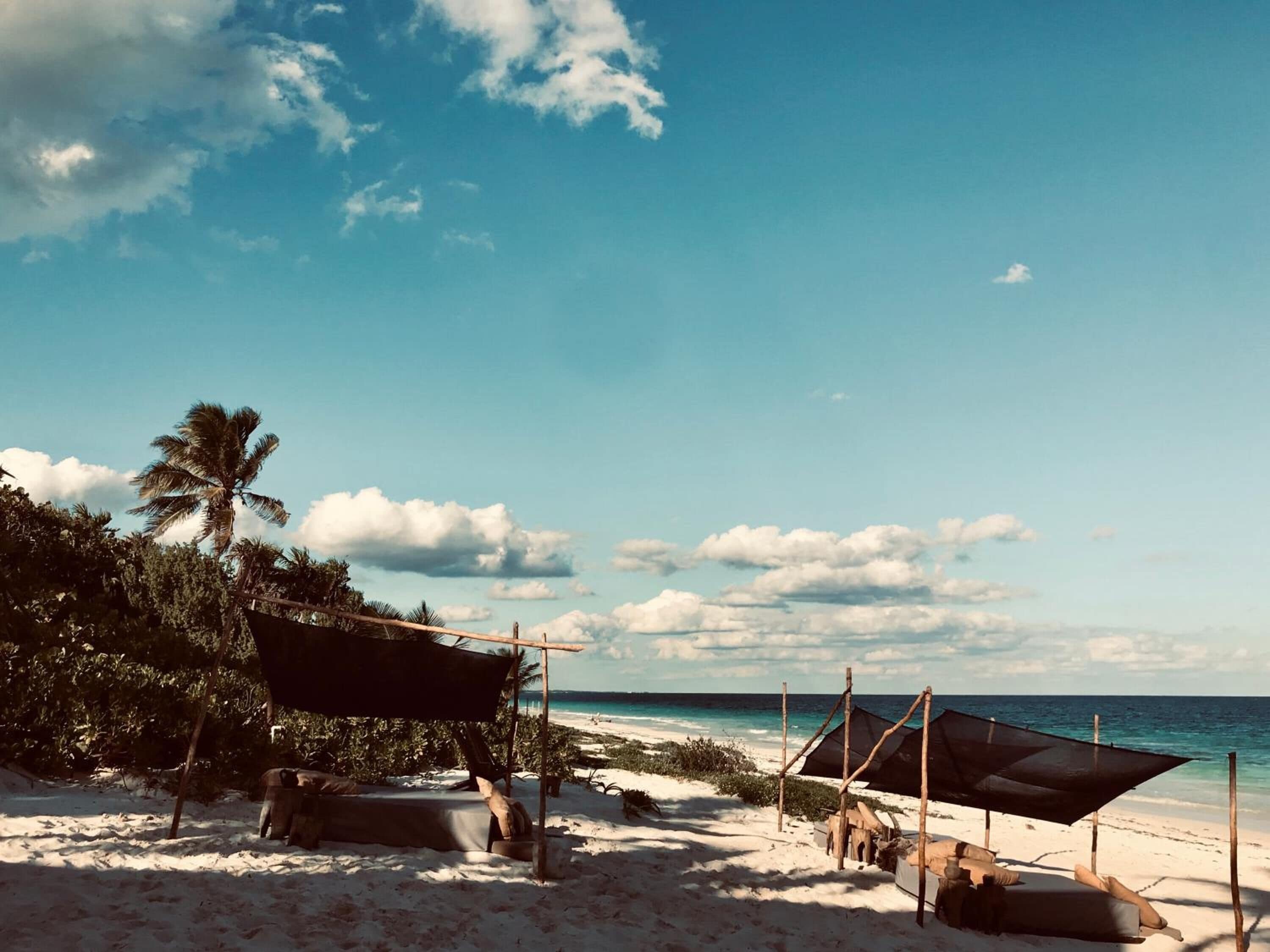 Libelula Tulum