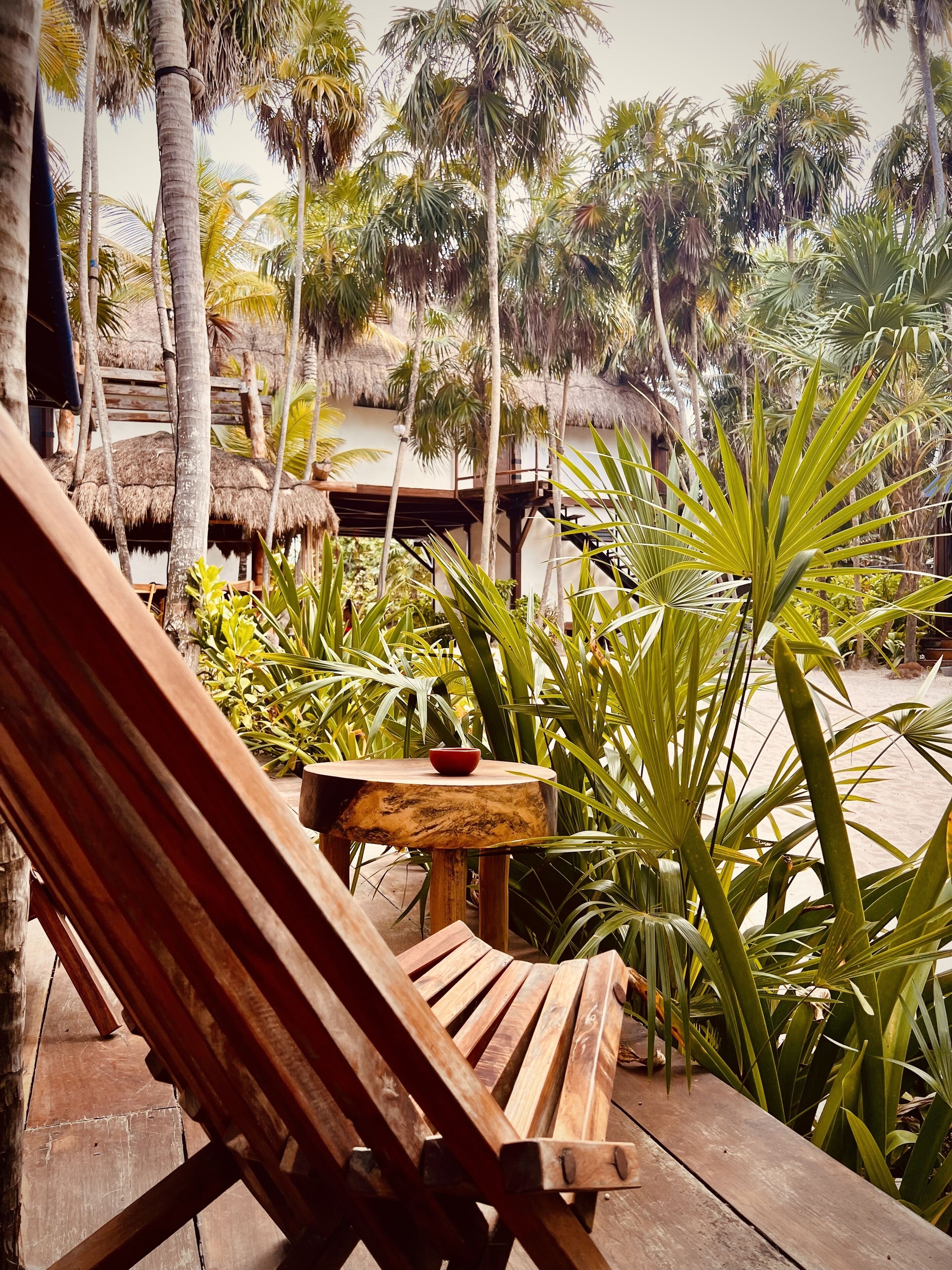 Libelula Tulum