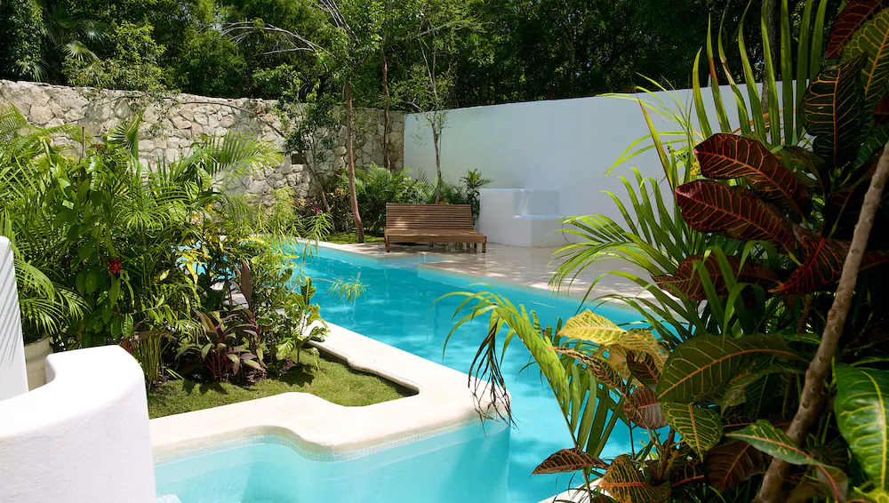 Live Tulum