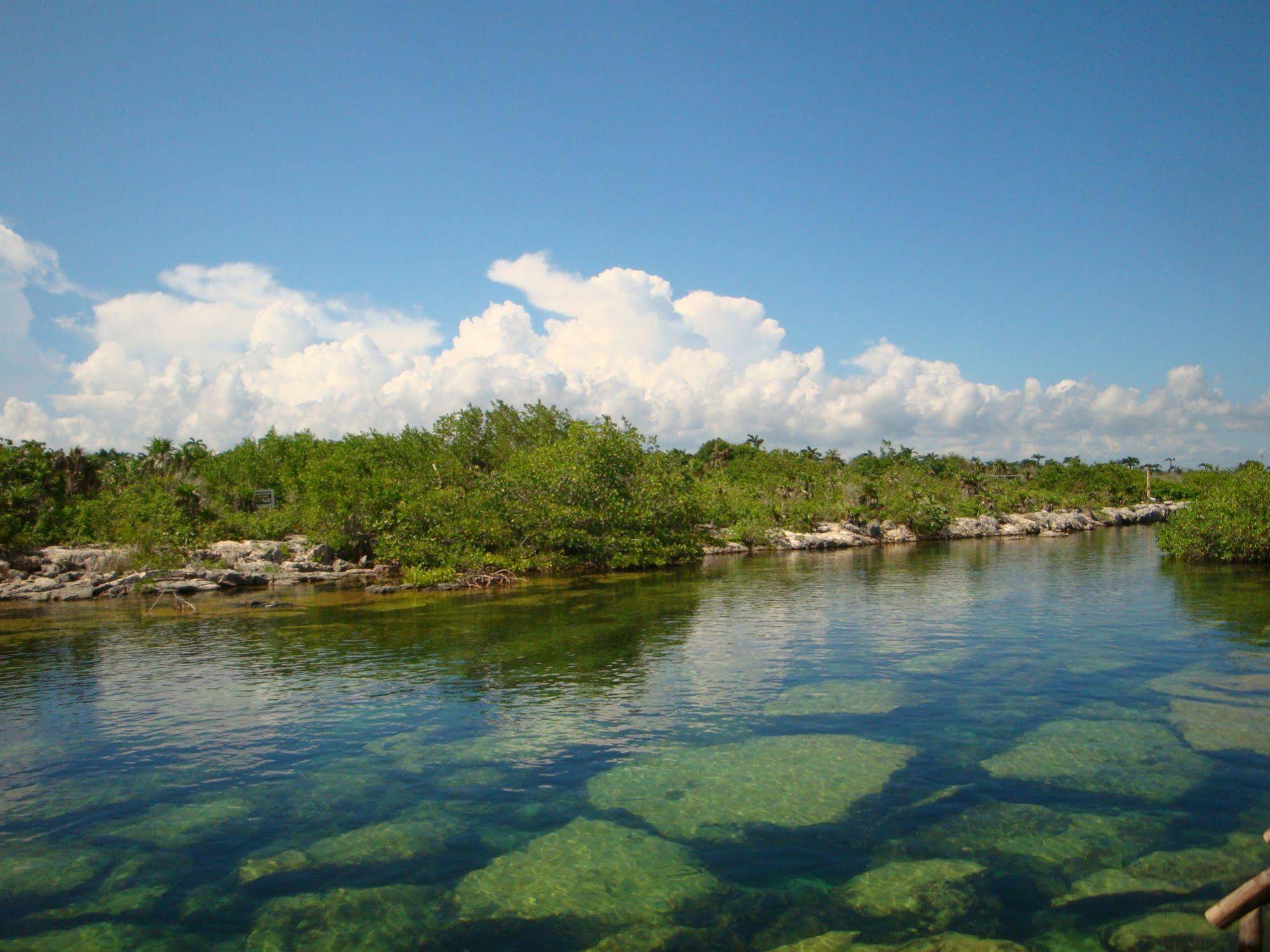 Lo Nuestro Petit Hotel Tulum