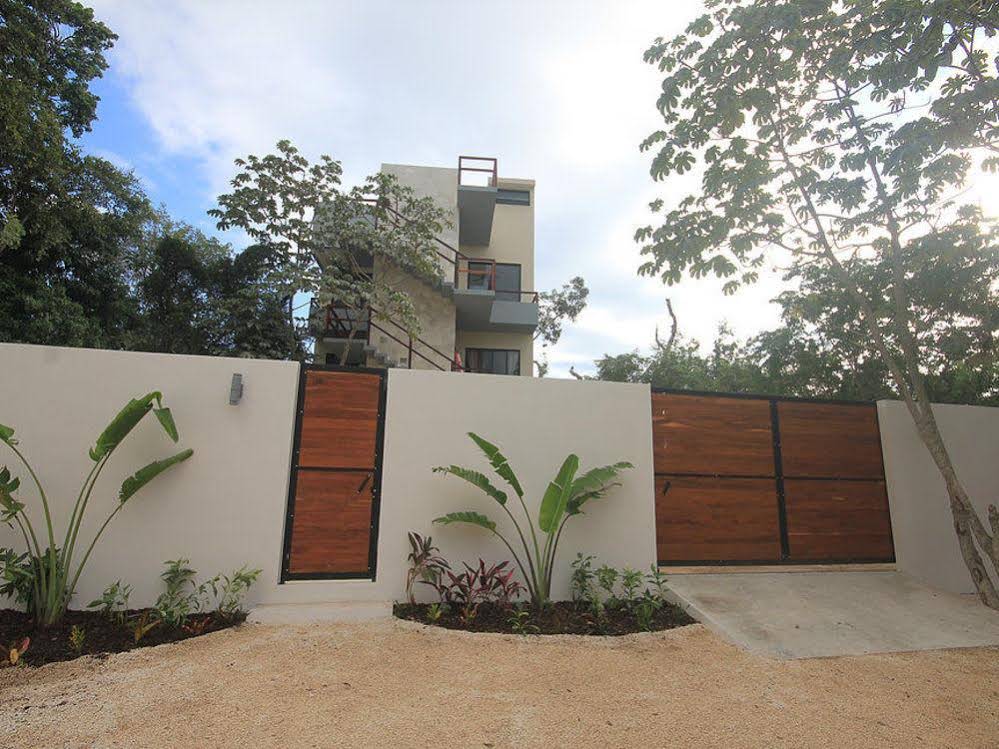 Naats Amigos Tulum
