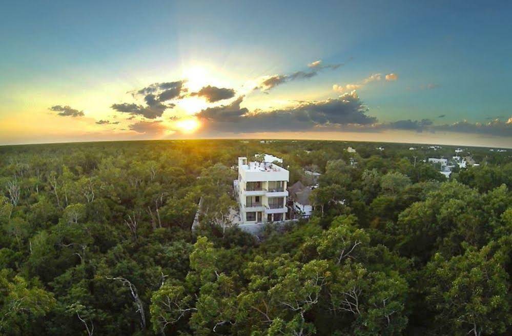 Naats Amigos Tulum