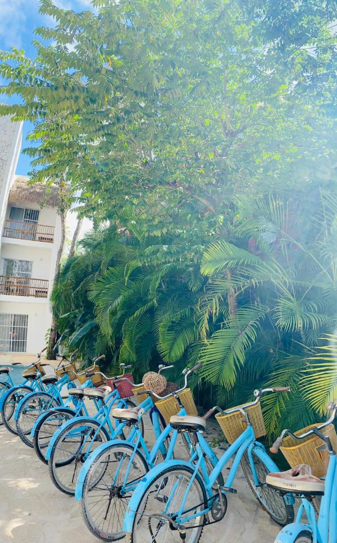 Loto Tulum