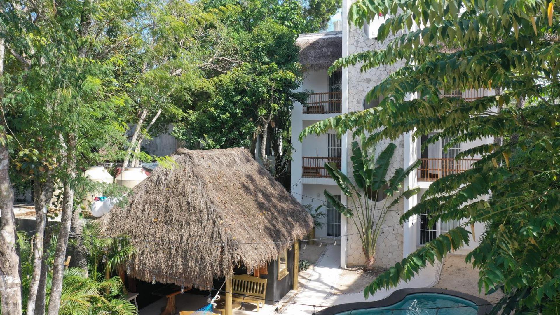 Loto Tulum