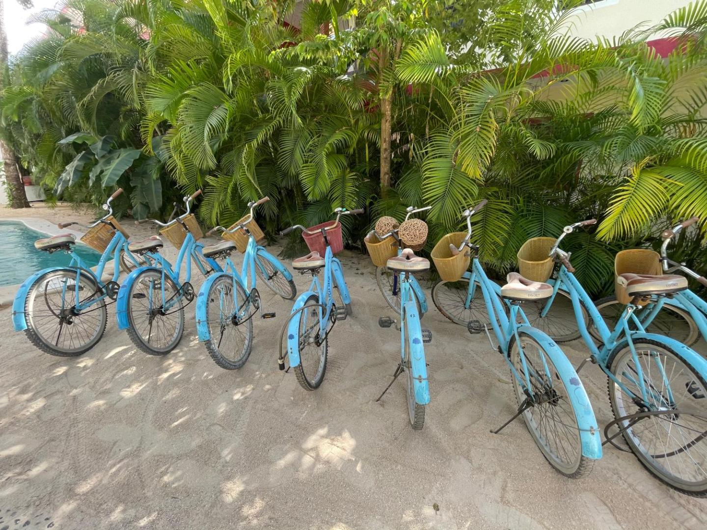Loto Tulum