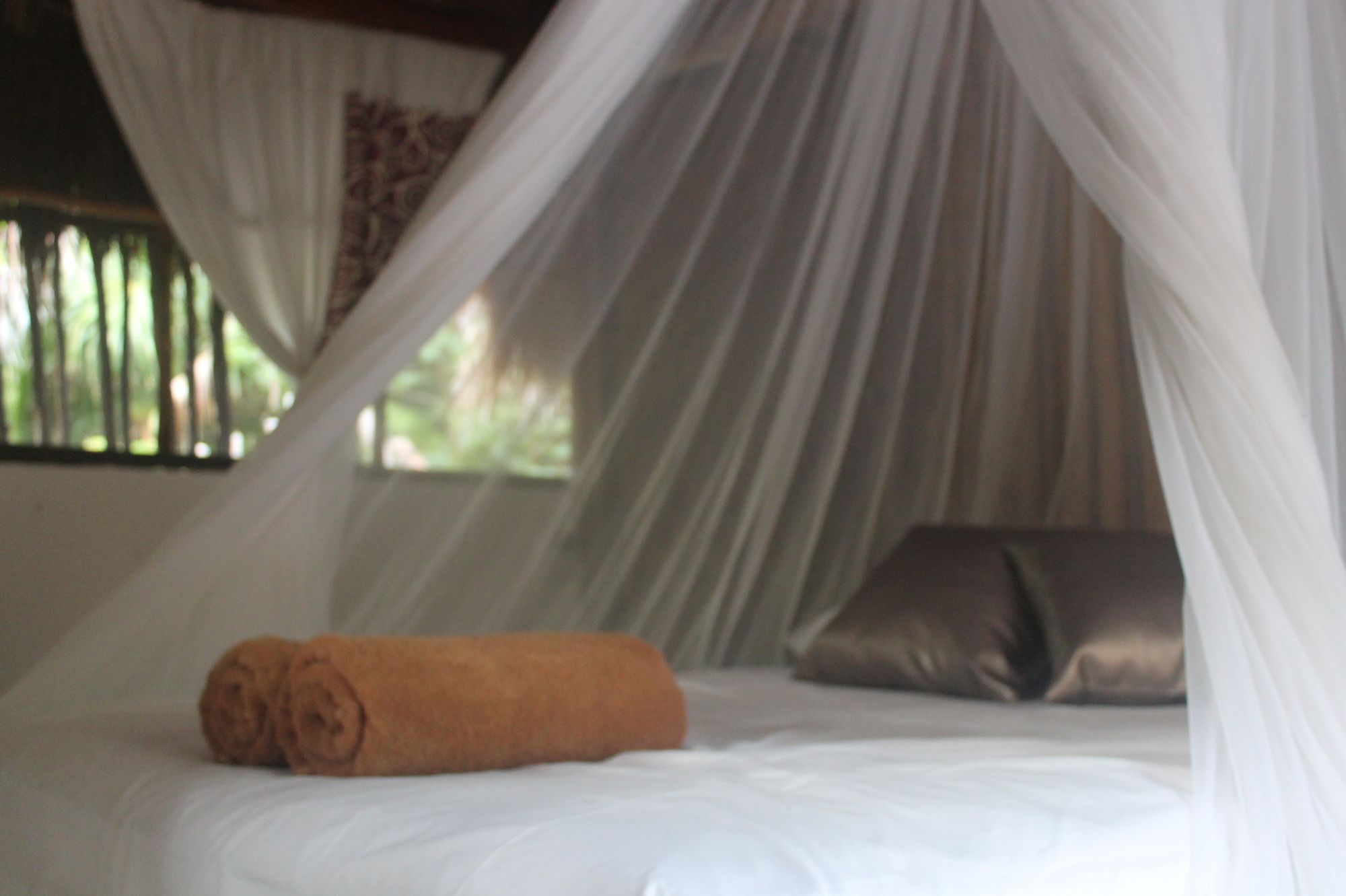 Maya Cabanas & Cenote Tulum