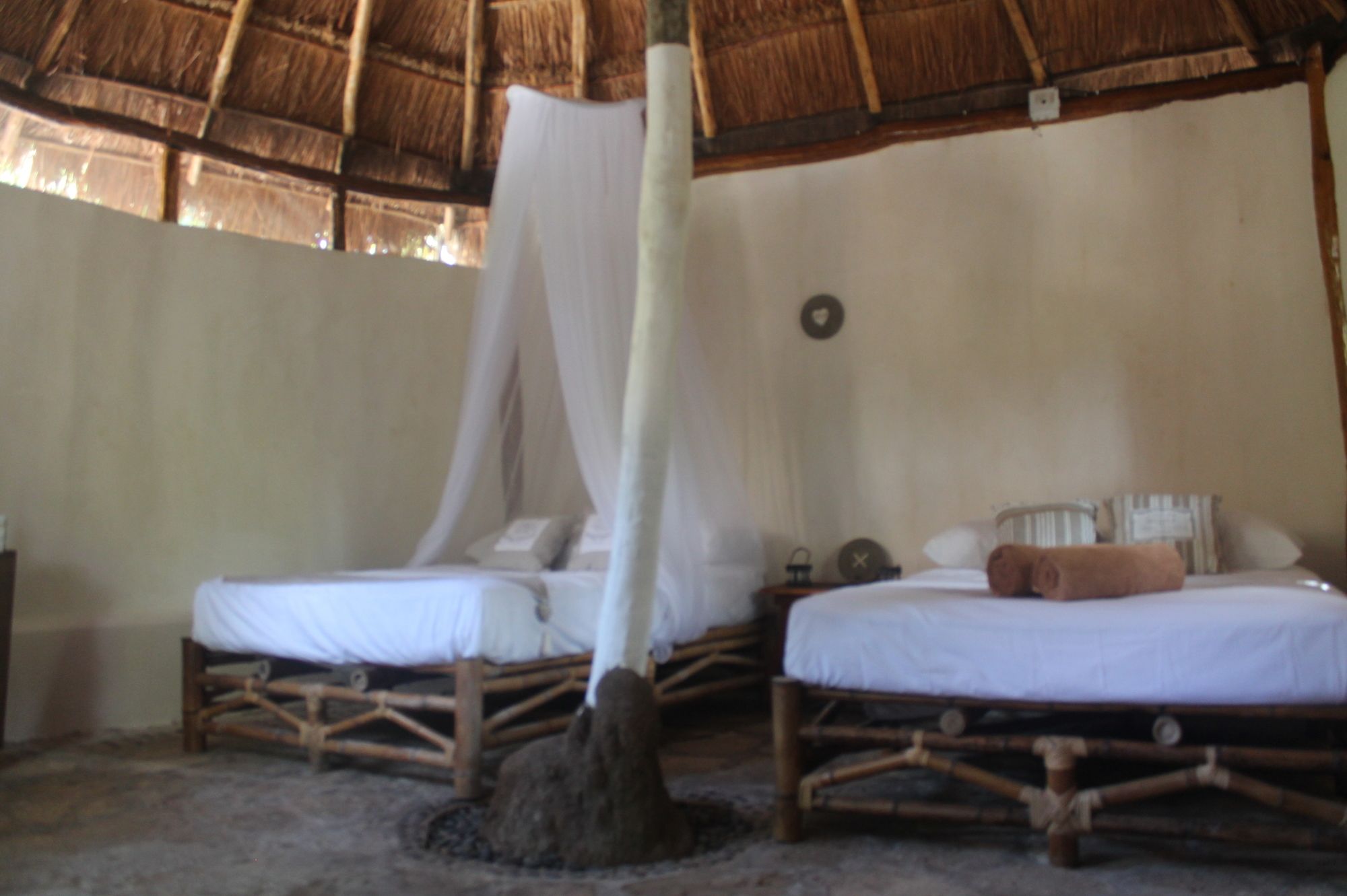 Maya Cabanas & Cenote Tulum