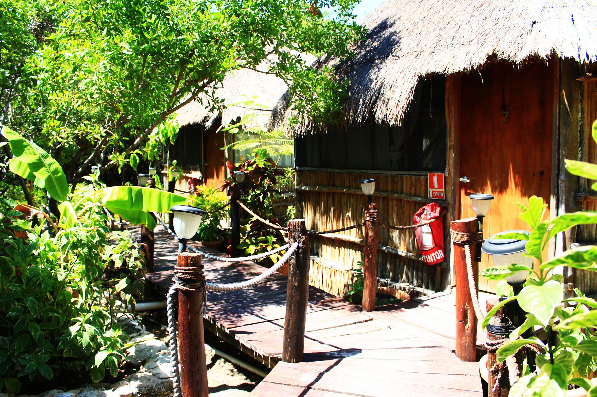 Maya Cabanas & Cenote Tulum