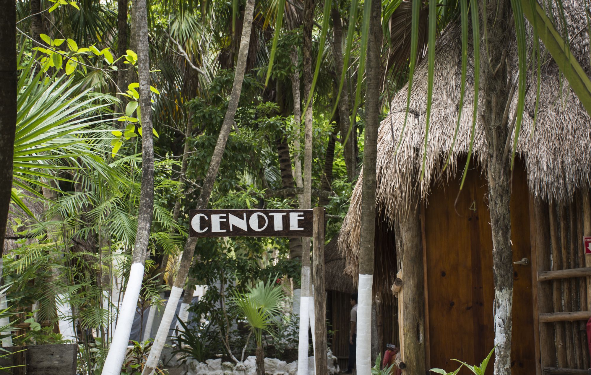Maya Cabanas & Cenote Tulum