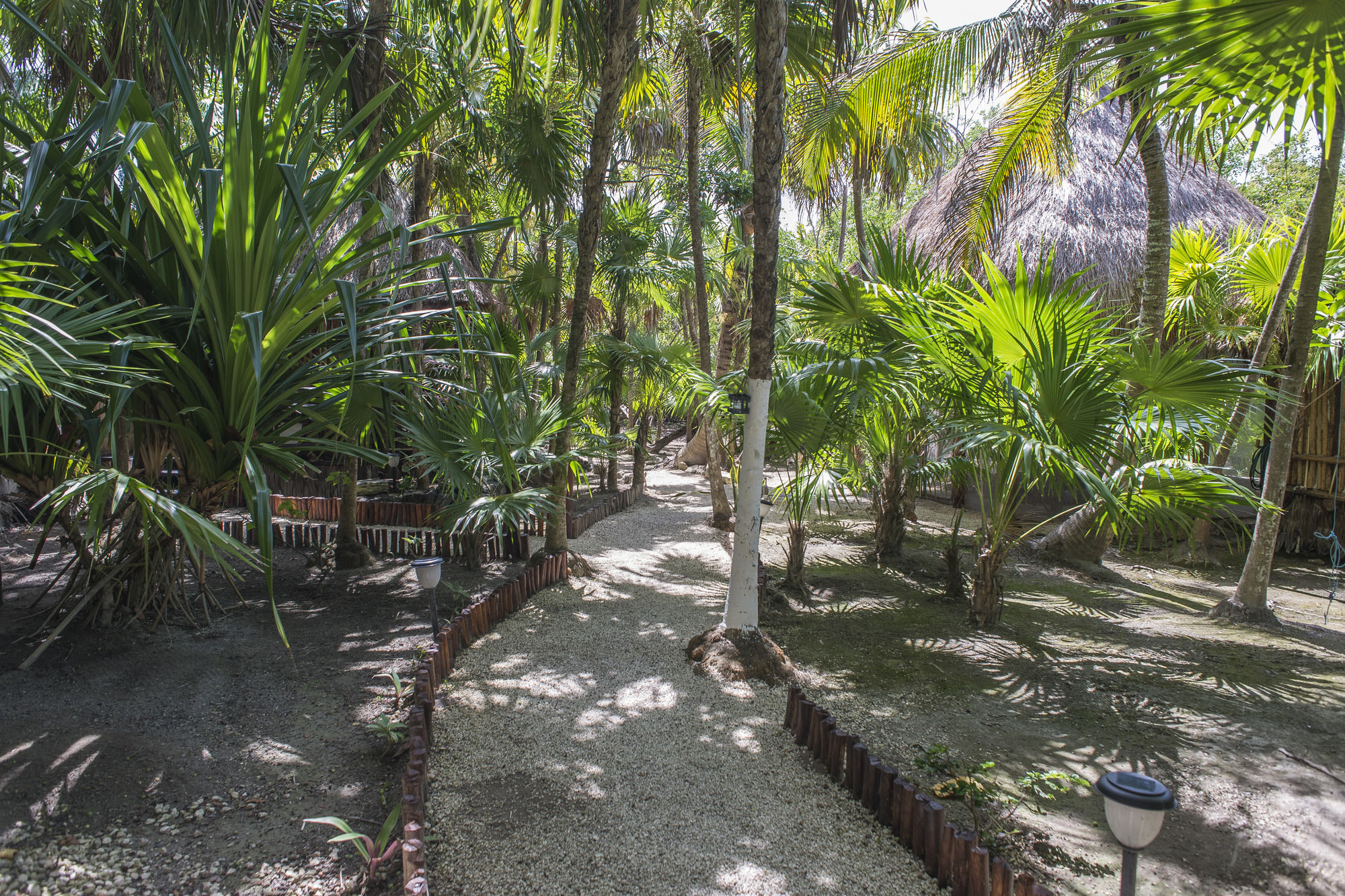 Maya Cabanas & Cenote Tulum