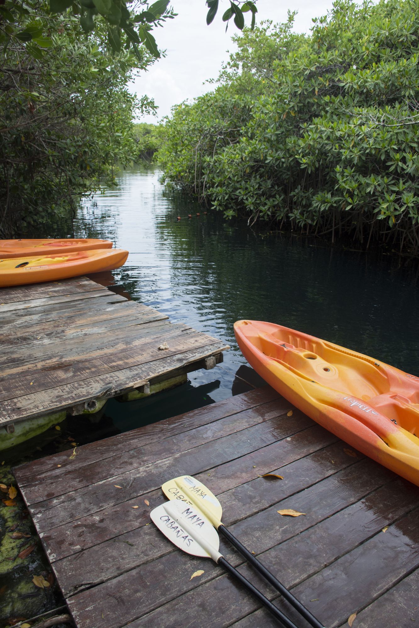 Maya Cabanas & Cenote Tulum