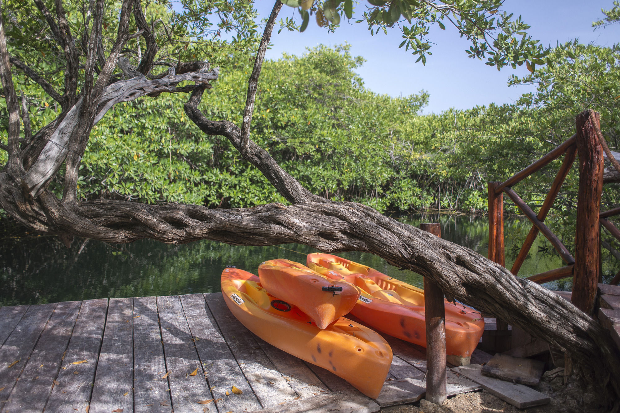 Maya Cabanas & Cenote Tulum