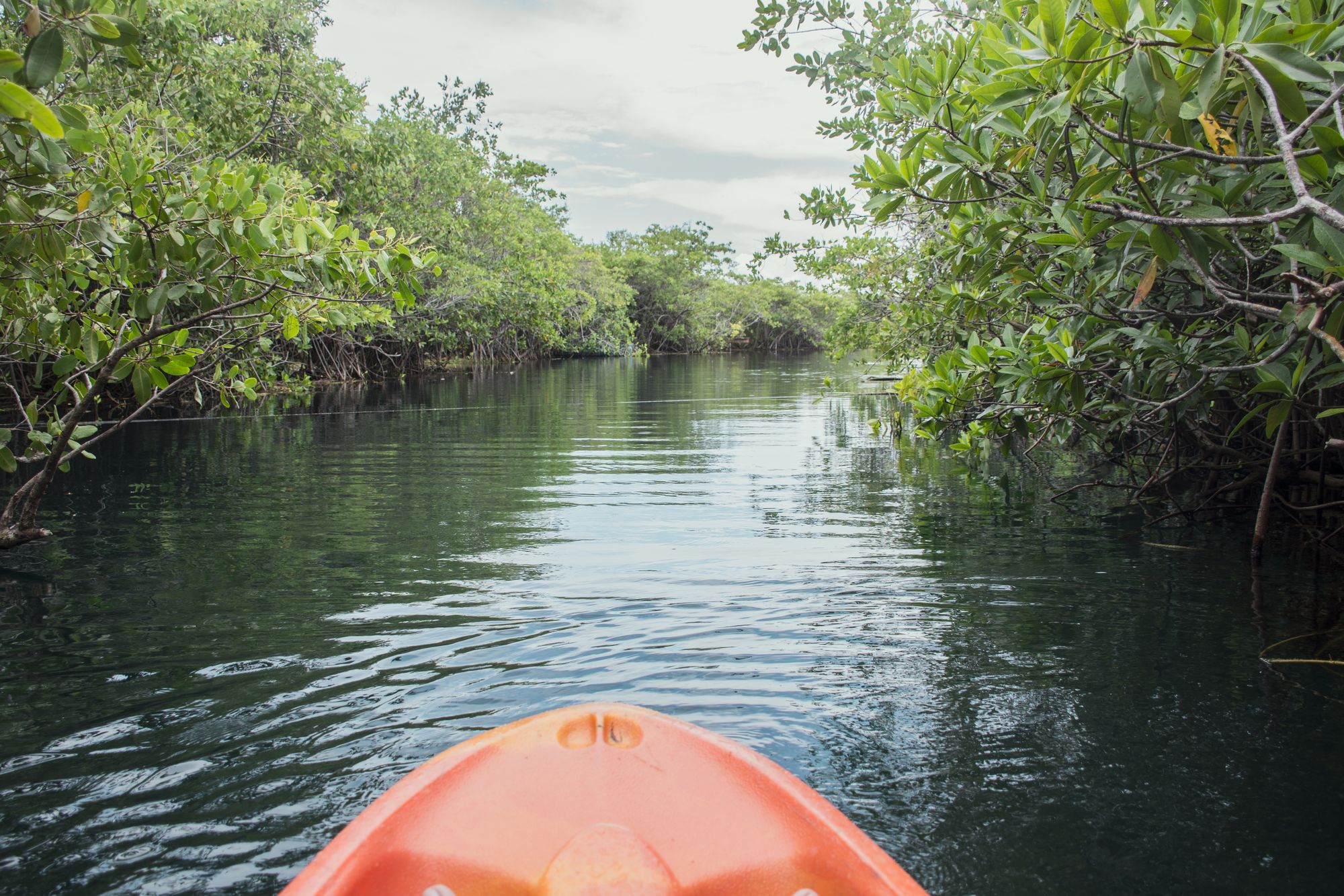 Maya Cabanas & Cenote Tulum