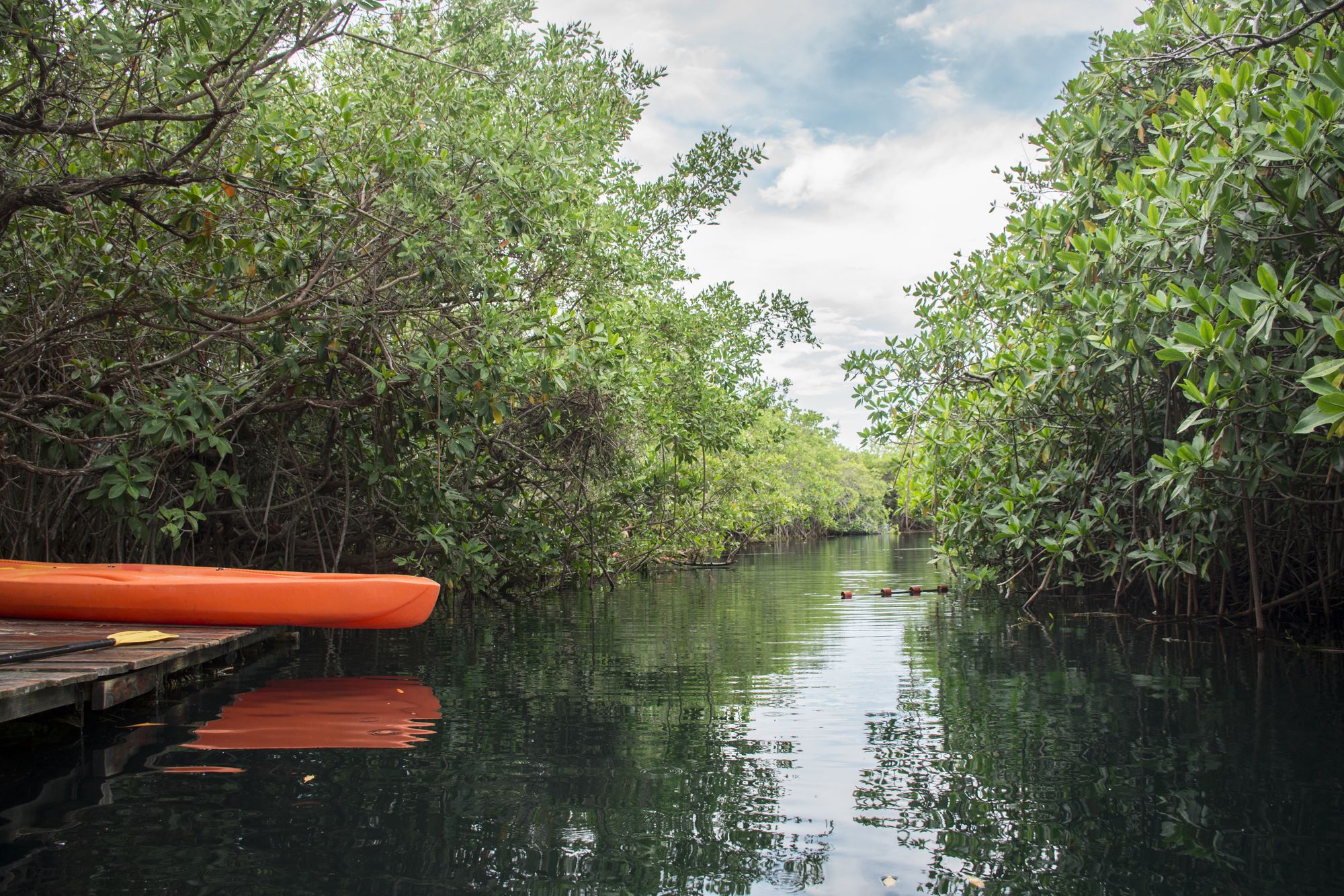 Maya Cabanas & Cenote Tulum
