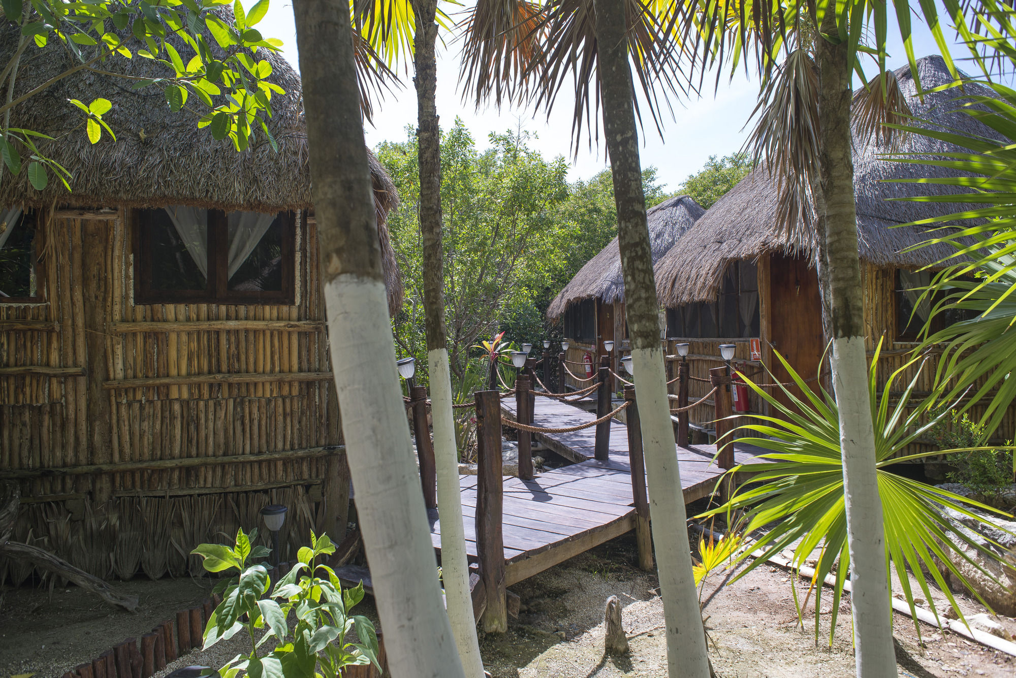 Maya Cabanas & Cenote Tulum