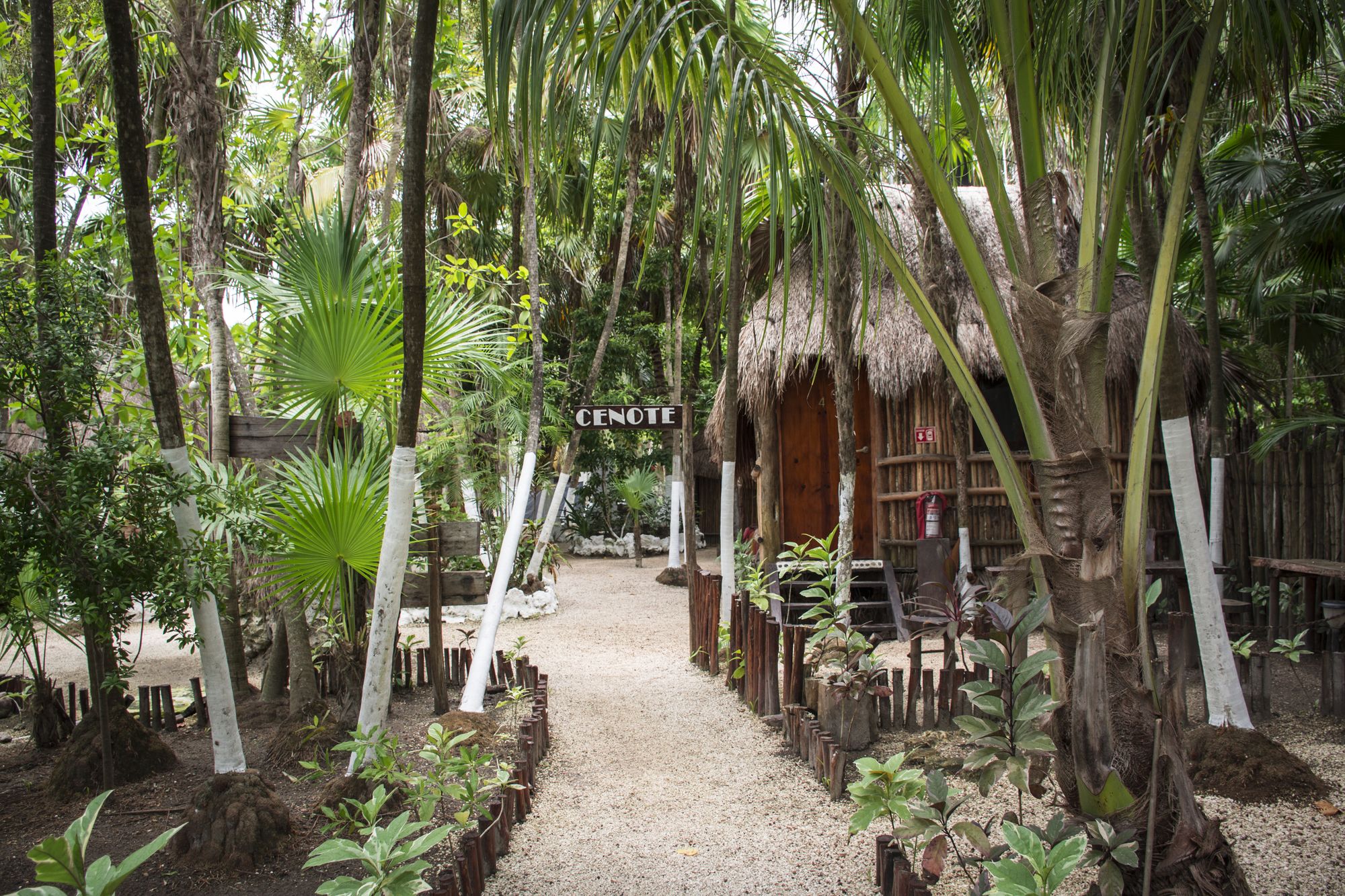 Maya Cabanas & Cenote Tulum