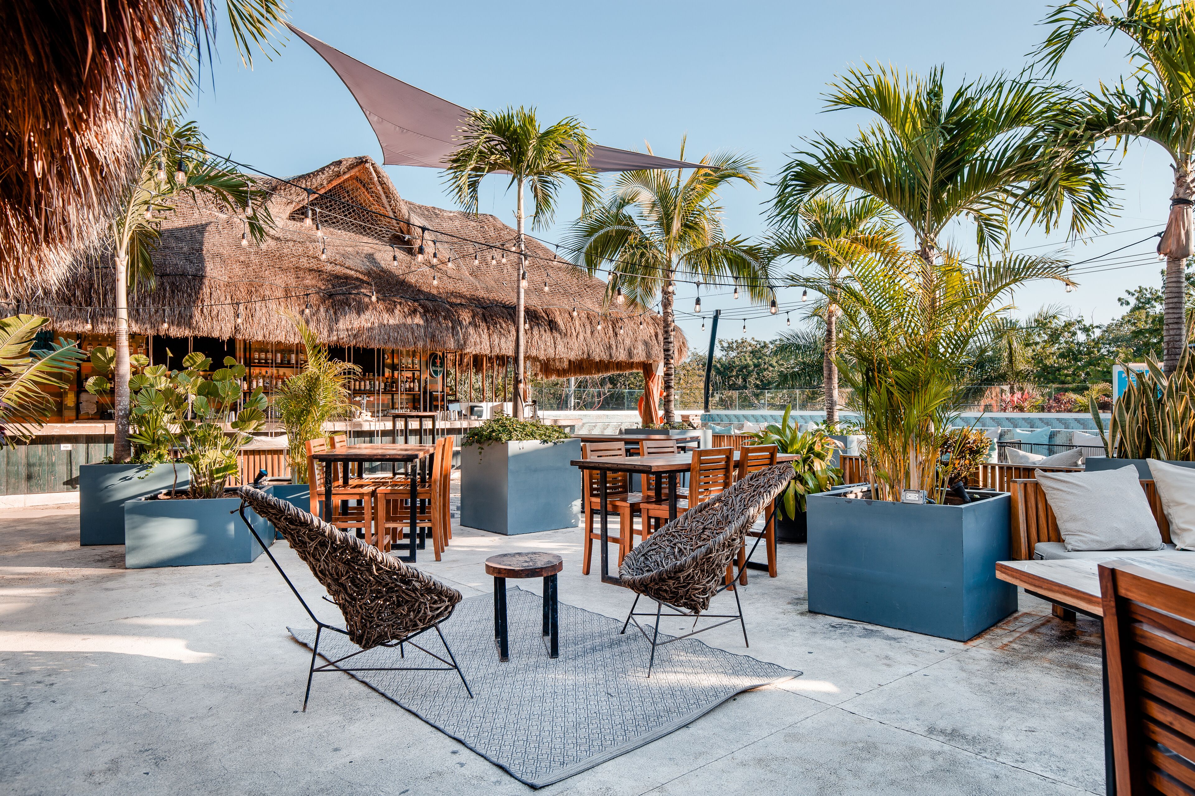 Mayan Monkey Hostel Tulum