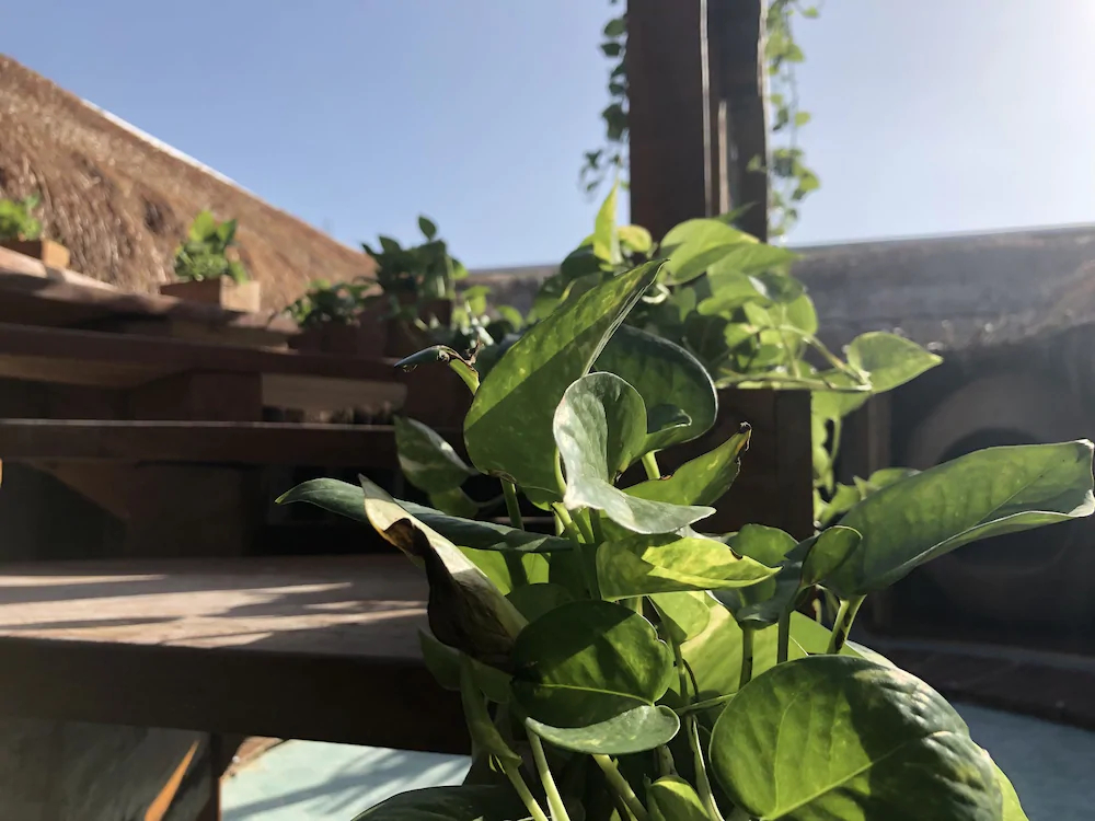El Cielo Hotel Boutique