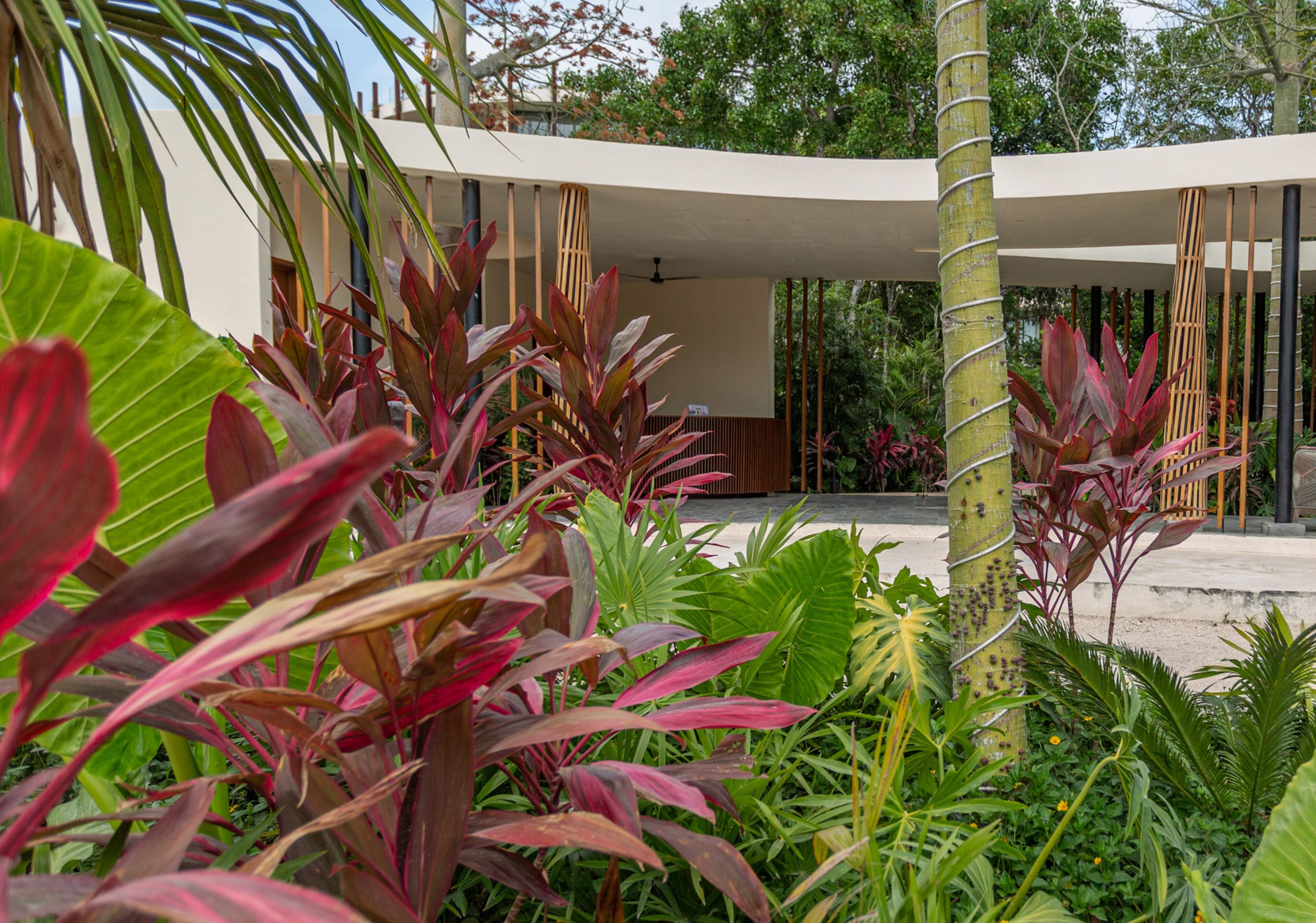 Mistiq Gardens