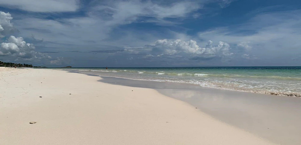 Orchid House Tulum Beach