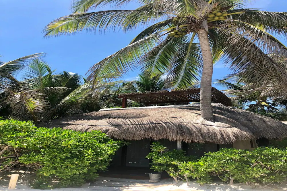 Orchid House Tulum Beach