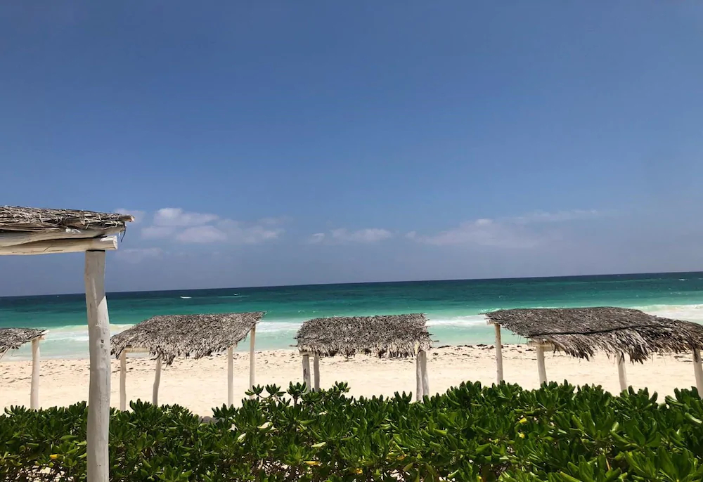 Orchid House Tulum Beach