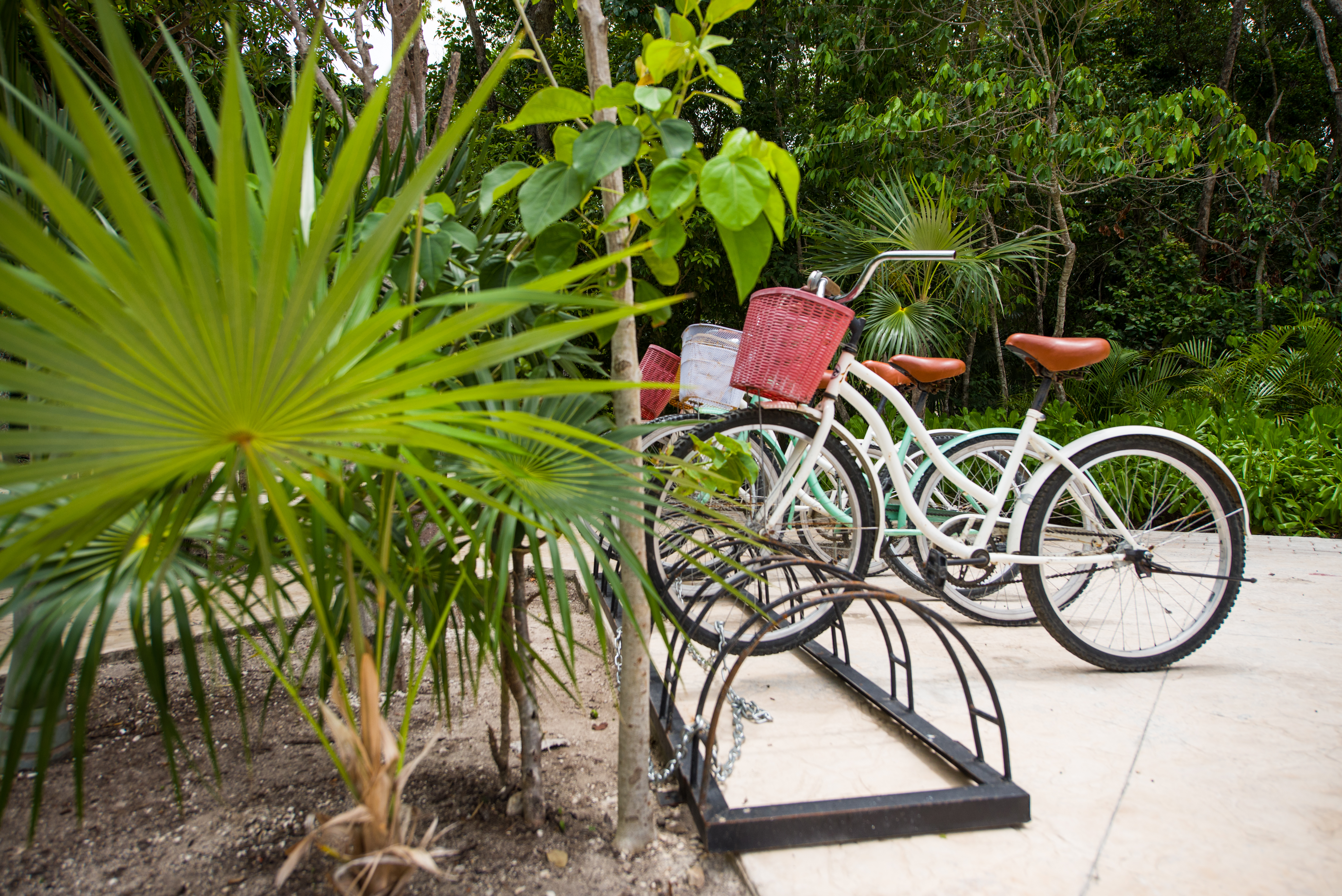 Náay Tulum Curamoria Collection