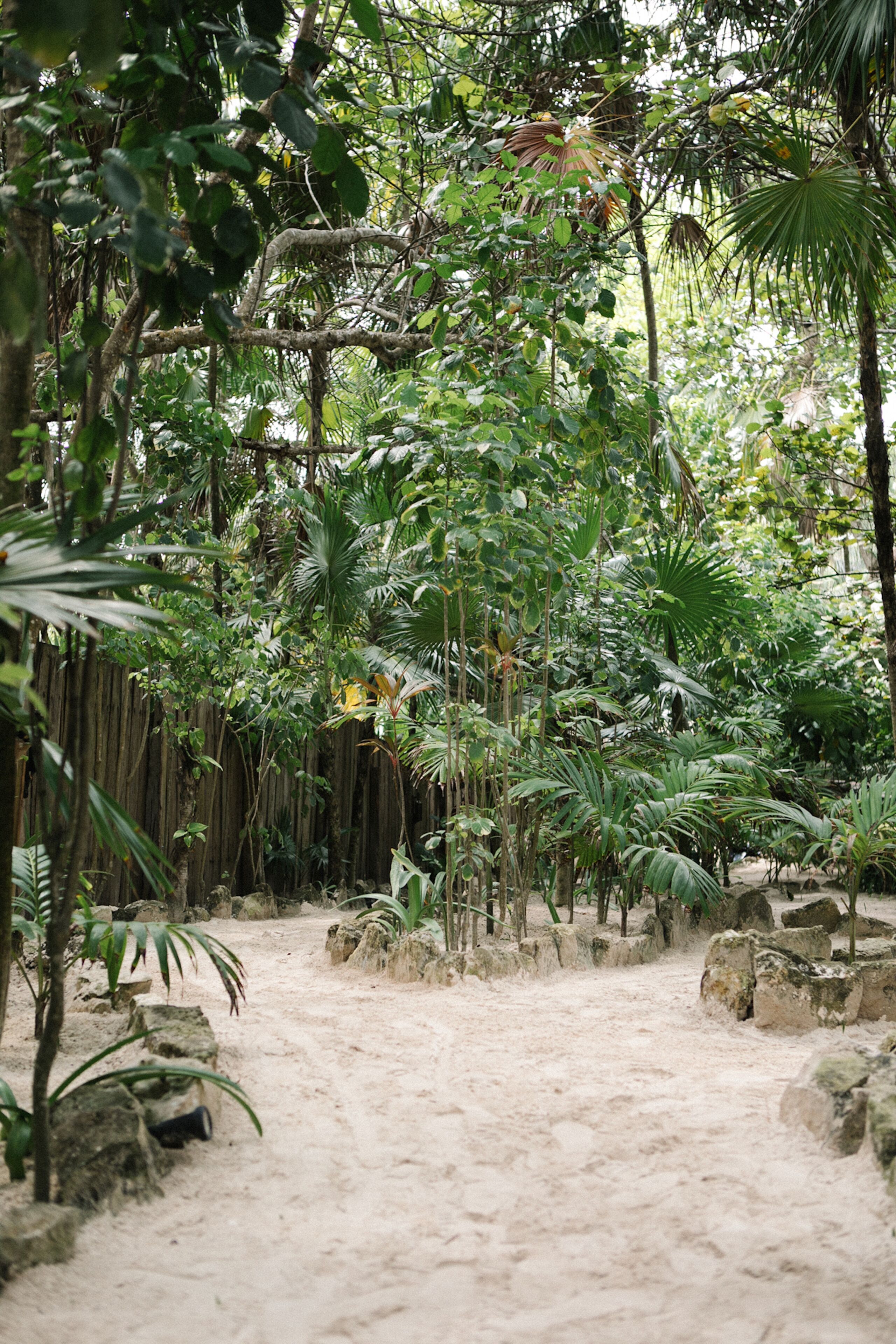 Nest Tulum