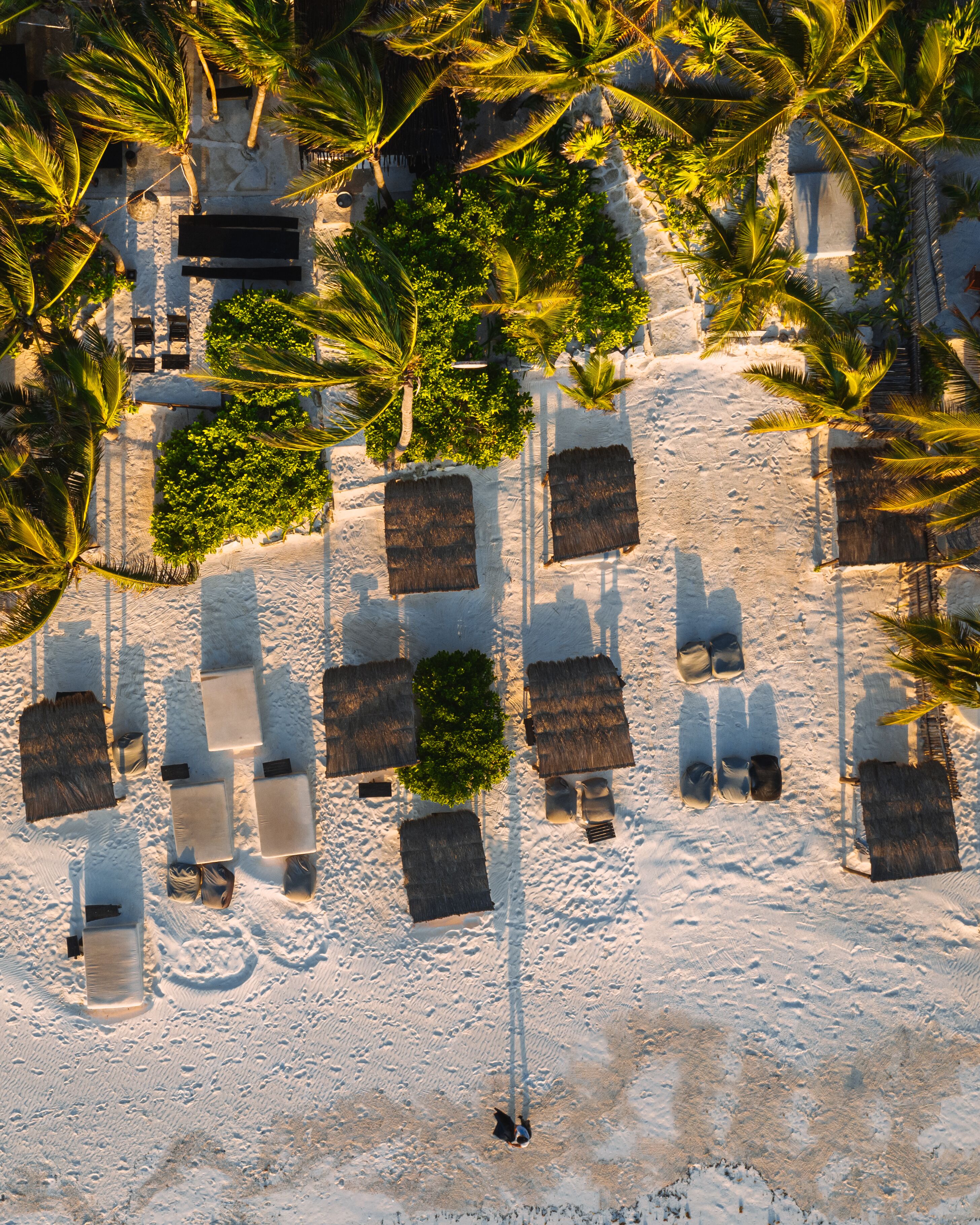 Nest Tulum