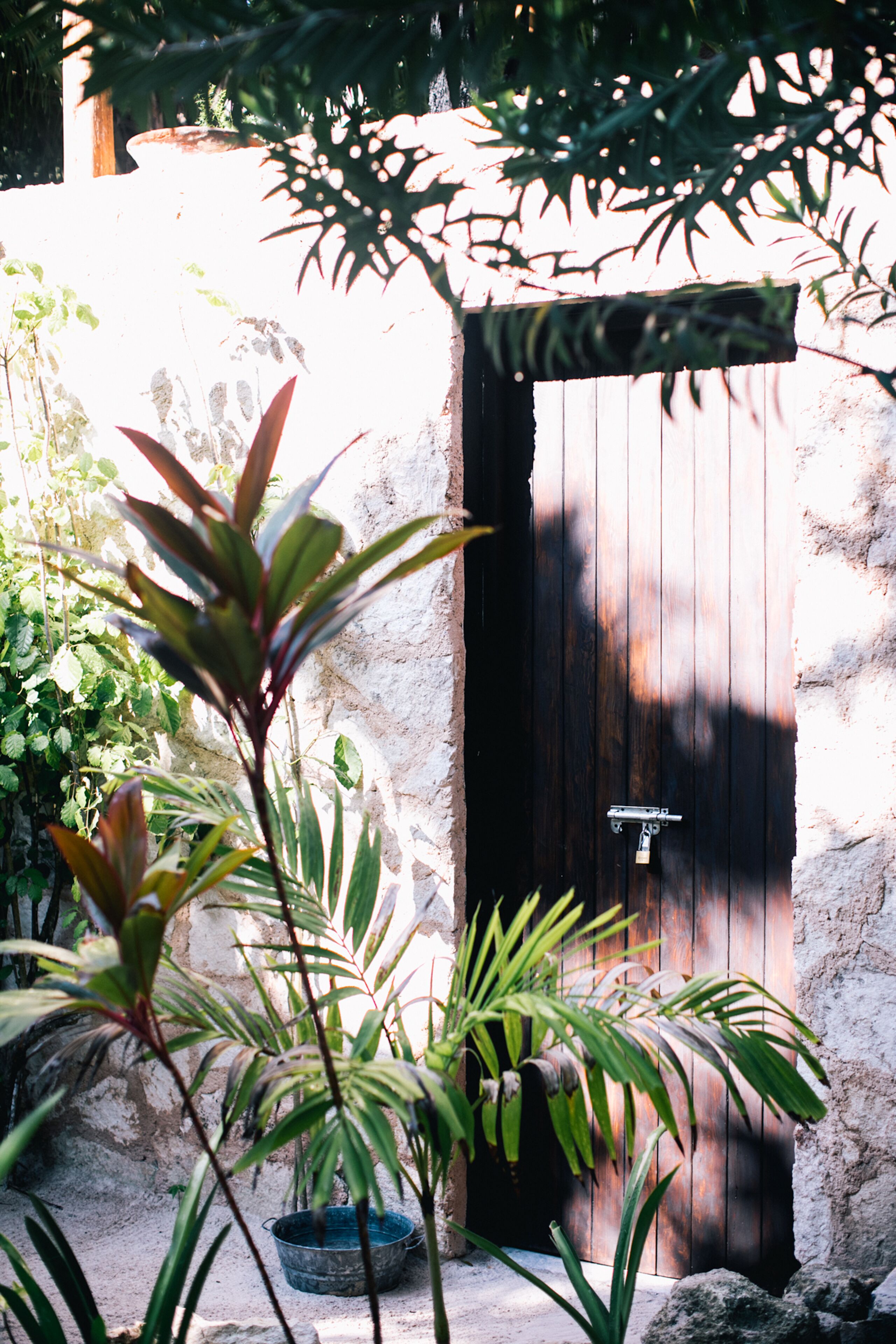 Nest Tulum