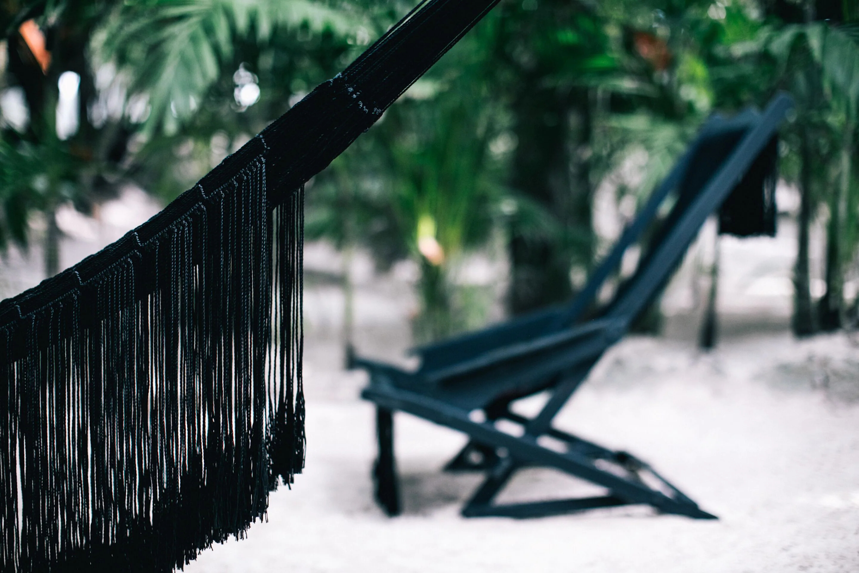 Nest Tulum