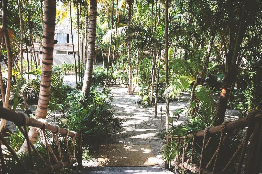 Nomade Tulum