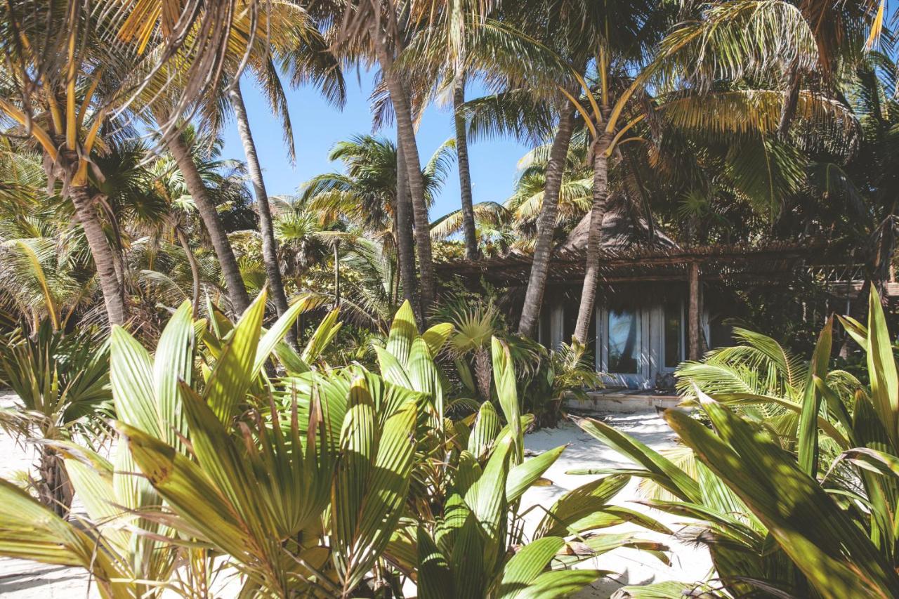 Nomade Tulum