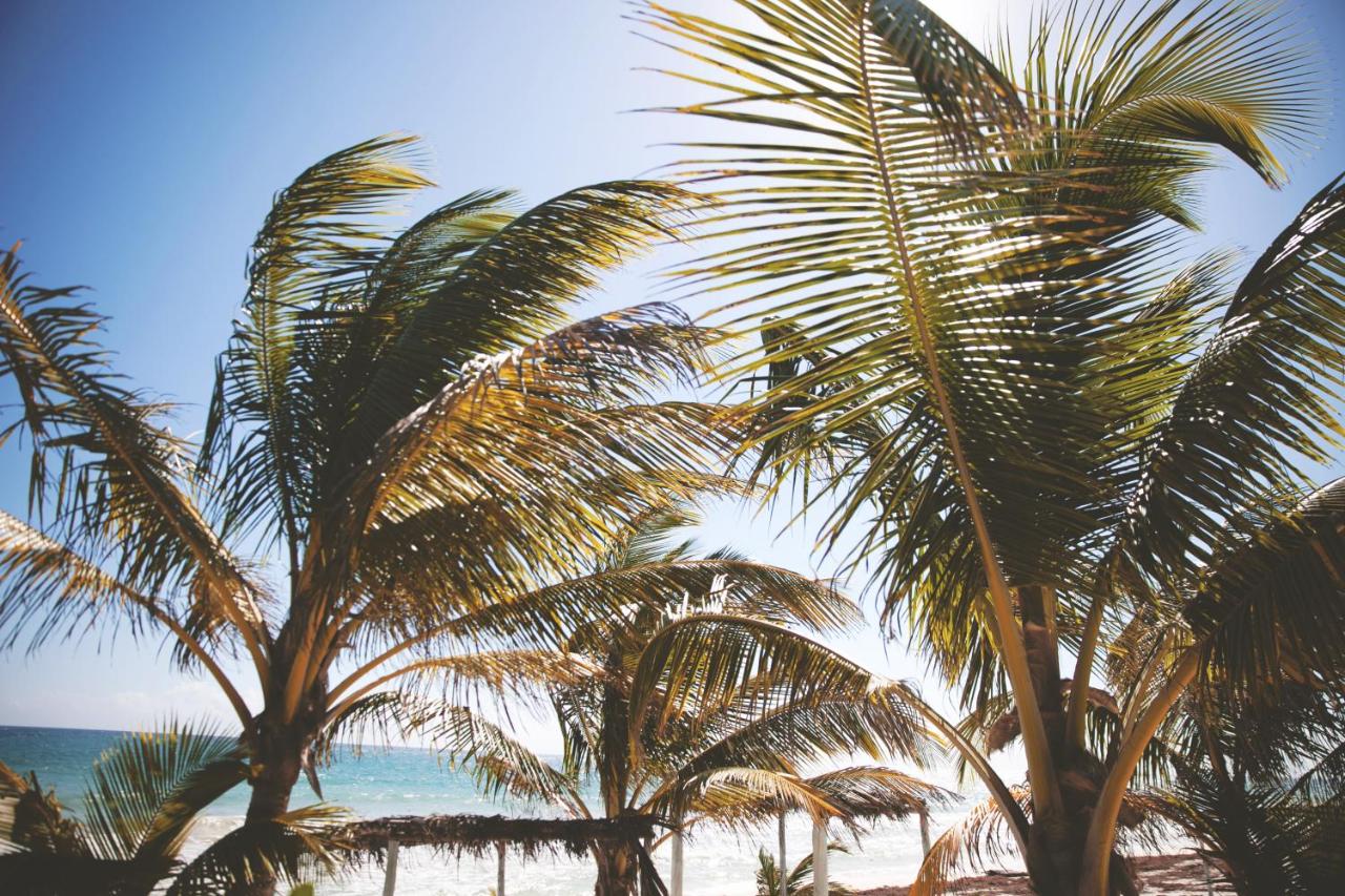 Nomade Tulum