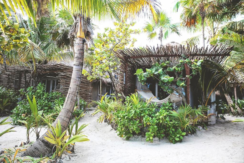 Nomade Tulum