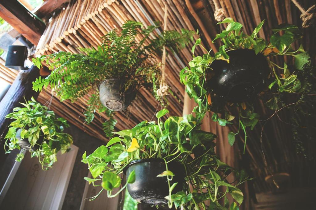 Nomade Tulum
