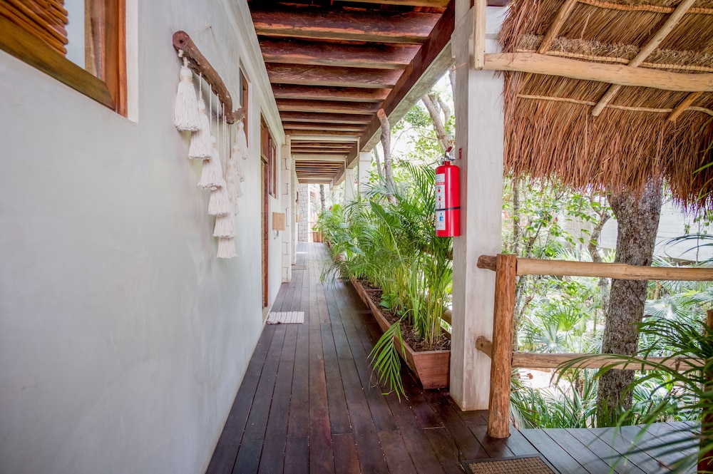 Orchid House Tulum