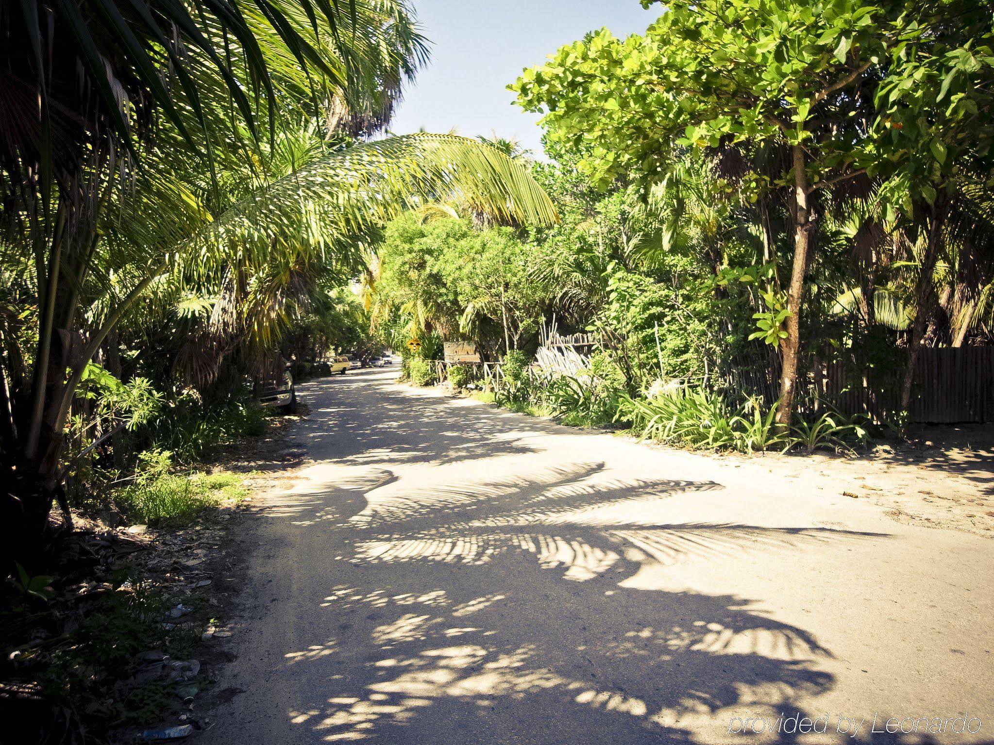 Papaya Playa Project